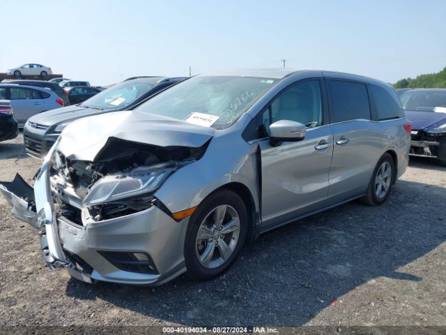 Photo 1 VIN: 5FNRL6H71KB013766 - HONDA ODYSSEY 