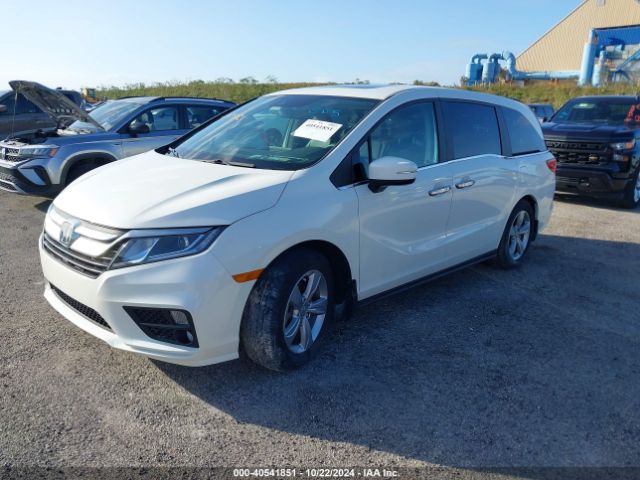 Photo 1 VIN: 5FNRL6H72KB071093 - HONDA ODYSSEY 