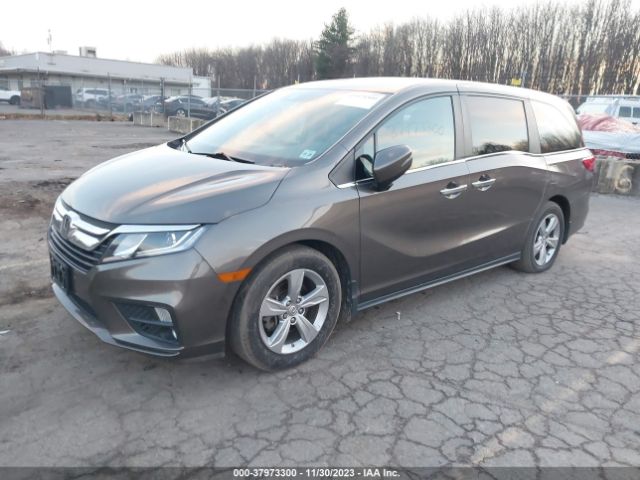 Photo 1 VIN: 5FNRL6H73KB008438 - HONDA ODYSSEY 