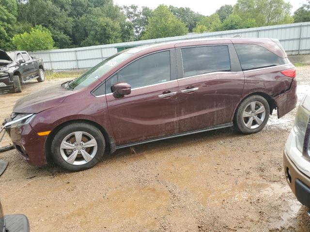 Photo 0 VIN: 5FNRL6H74KB020632 - HONDA ODYSSEY EX 