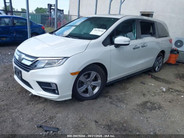 Photo 1 VIN: 5FNRL6H78JB112065 - HONDA ODYSSEY 