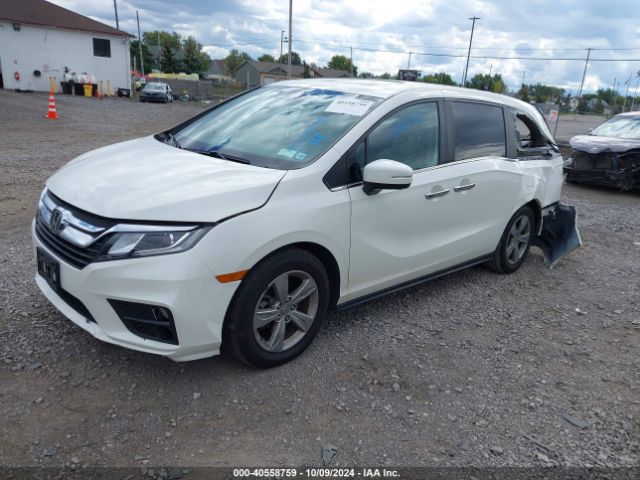 Photo 1 VIN: 5FNRL6H79KB109905 - HONDA ODYSSEY 