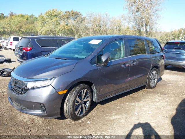 Photo 1 VIN: 5FNRL6H84RB075004 - HONDA ODYSSEY 