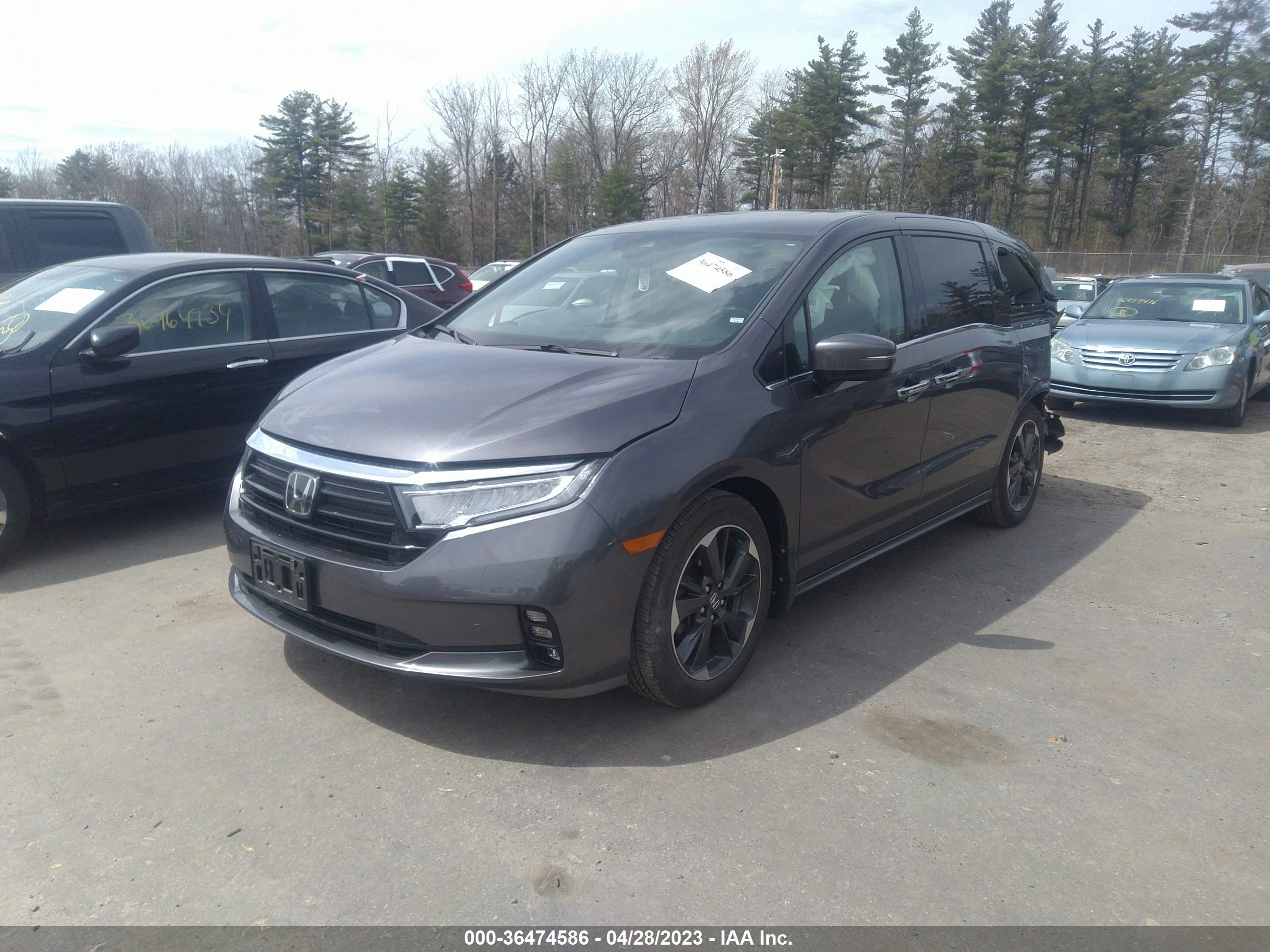 Photo 1 VIN: 5FNRL6H8XNB502261 - HONDA ODYSSEY 