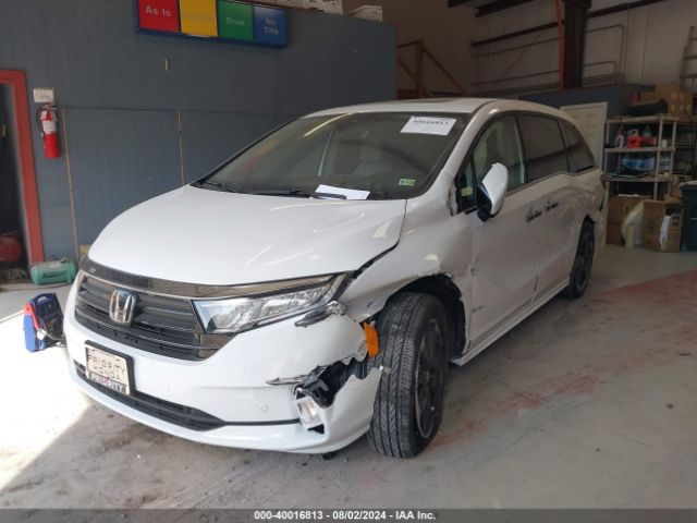 Photo 1 VIN: 5FNRL6H92RB067959 - HONDA ODYSSEY 