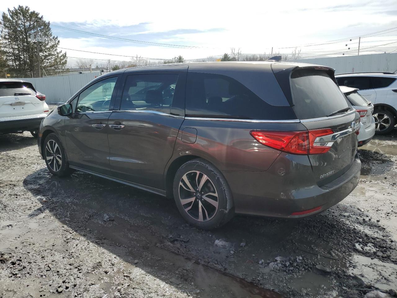 Photo 1 VIN: 5FNRL6H98LB045388 - HONDA ODYSSEY 