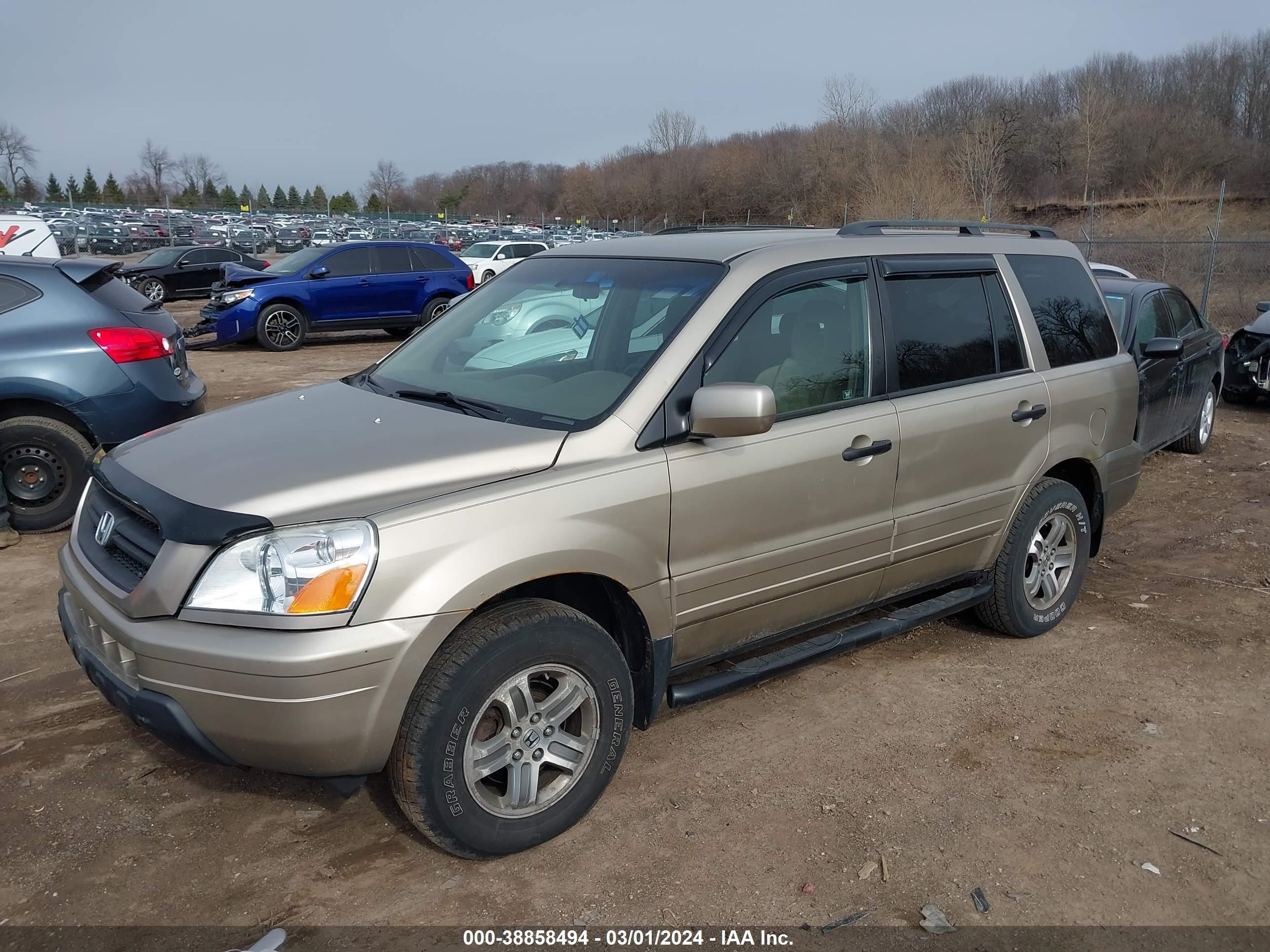 Photo 1 VIN: 5FNYF18465B048951 - HONDA PILOT 