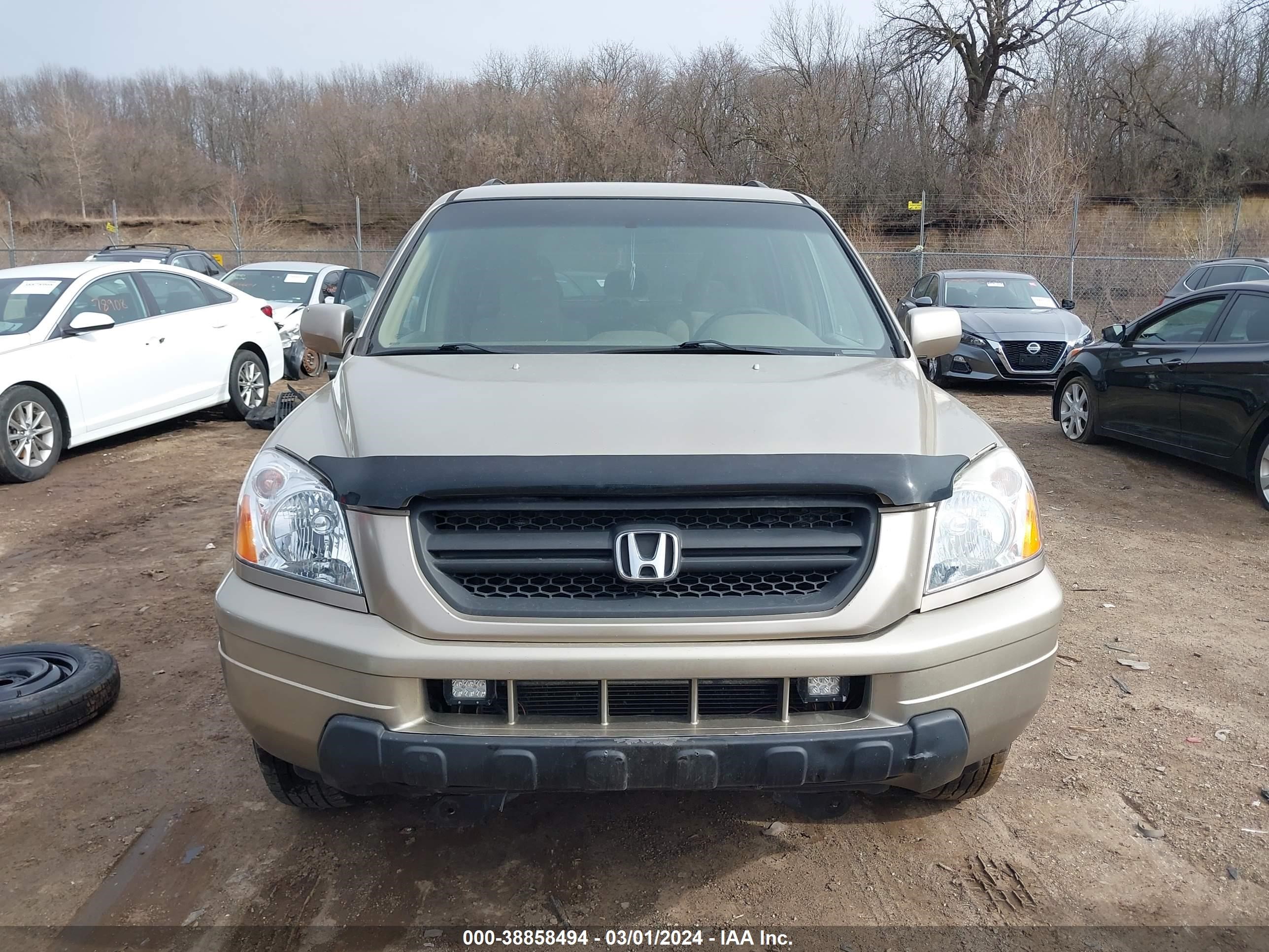 Photo 5 VIN: 5FNYF18465B048951 - HONDA PILOT 