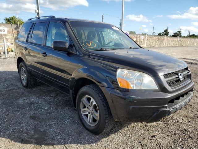 Photo 3 VIN: 5FNYF18485B030709 - HONDA PILOT 