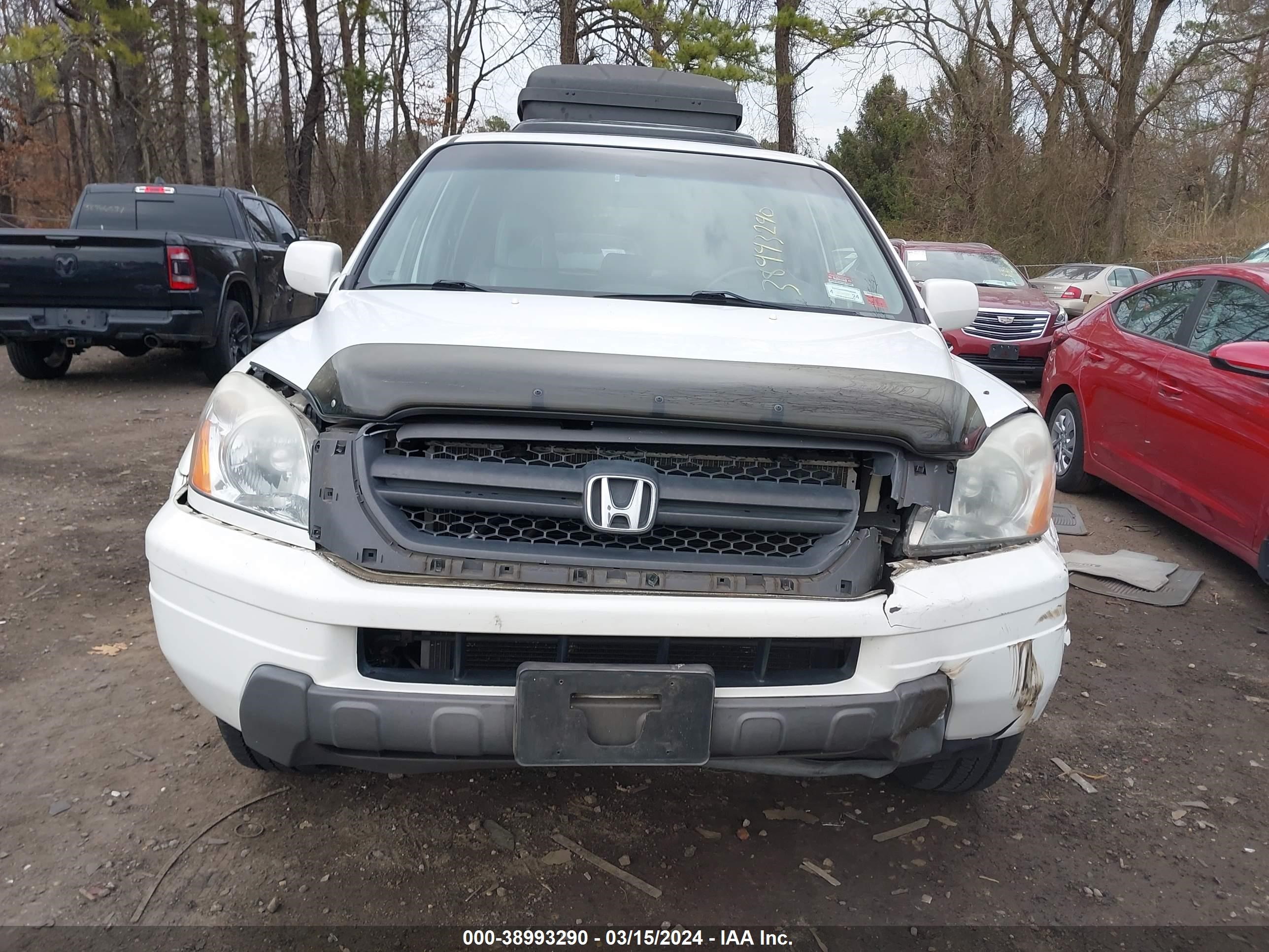 Photo 11 VIN: 5FNYF18515B000816 - HONDA PILOT 