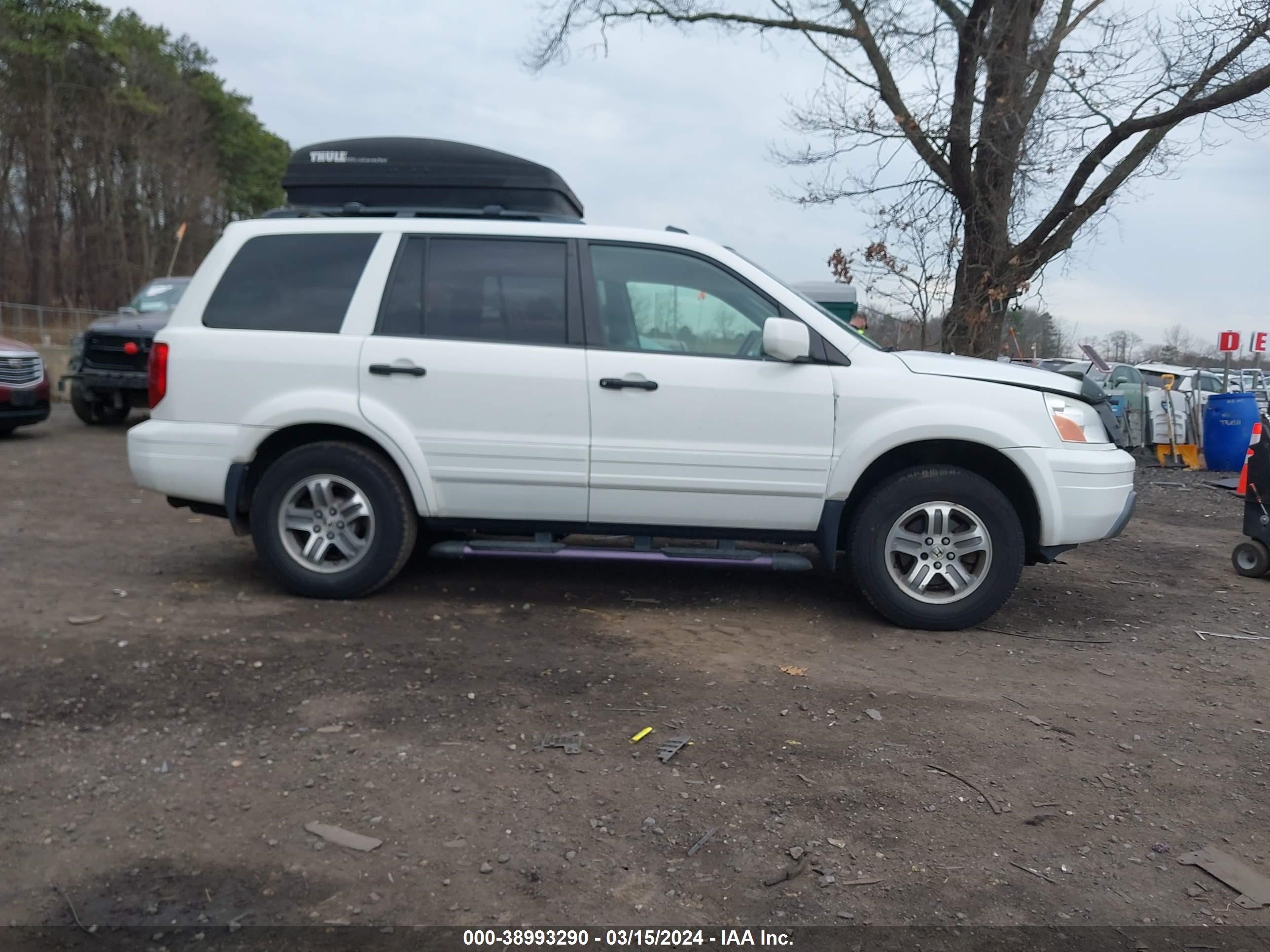 Photo 12 VIN: 5FNYF18515B000816 - HONDA PILOT 