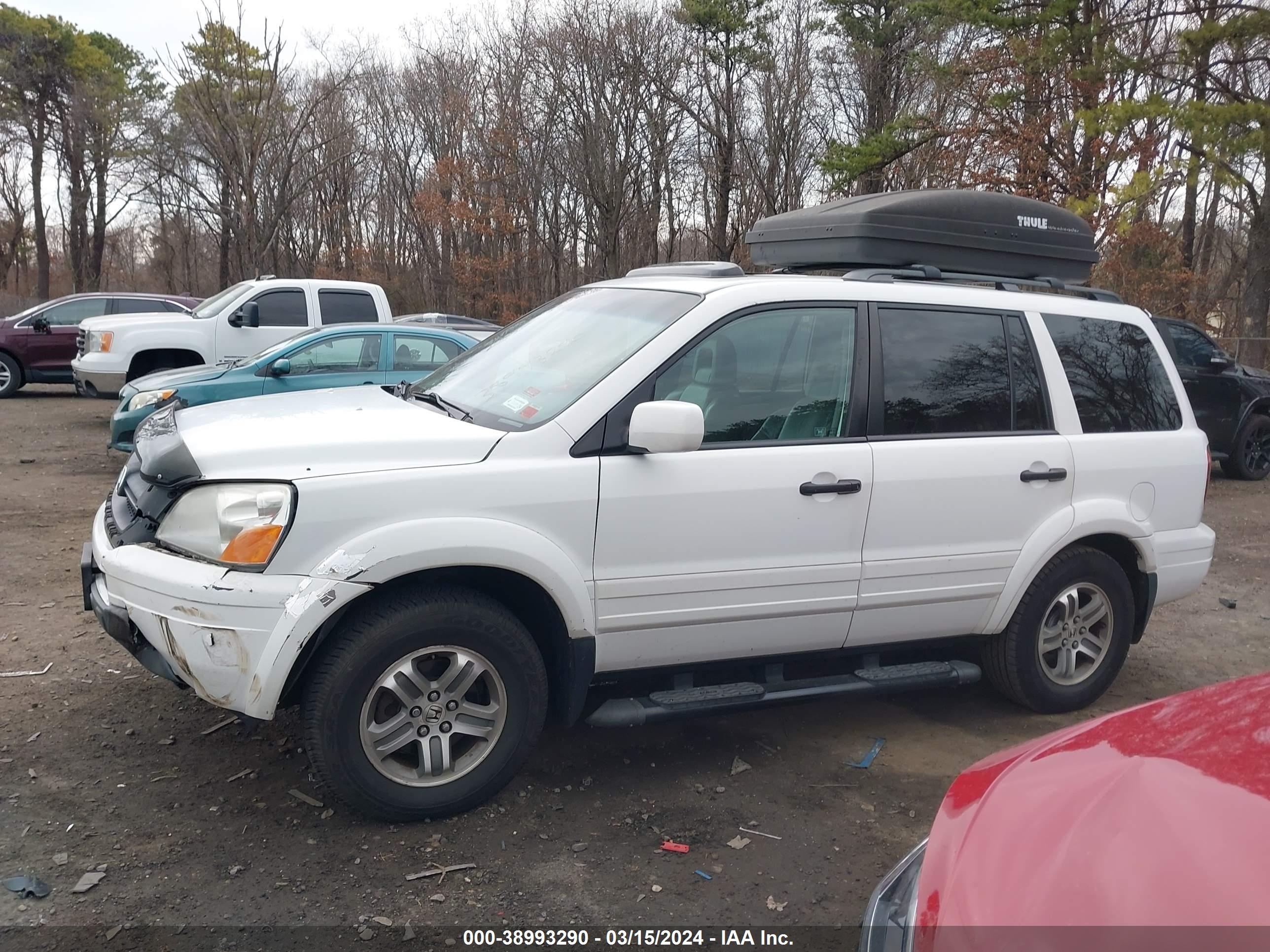 Photo 13 VIN: 5FNYF18515B000816 - HONDA PILOT 