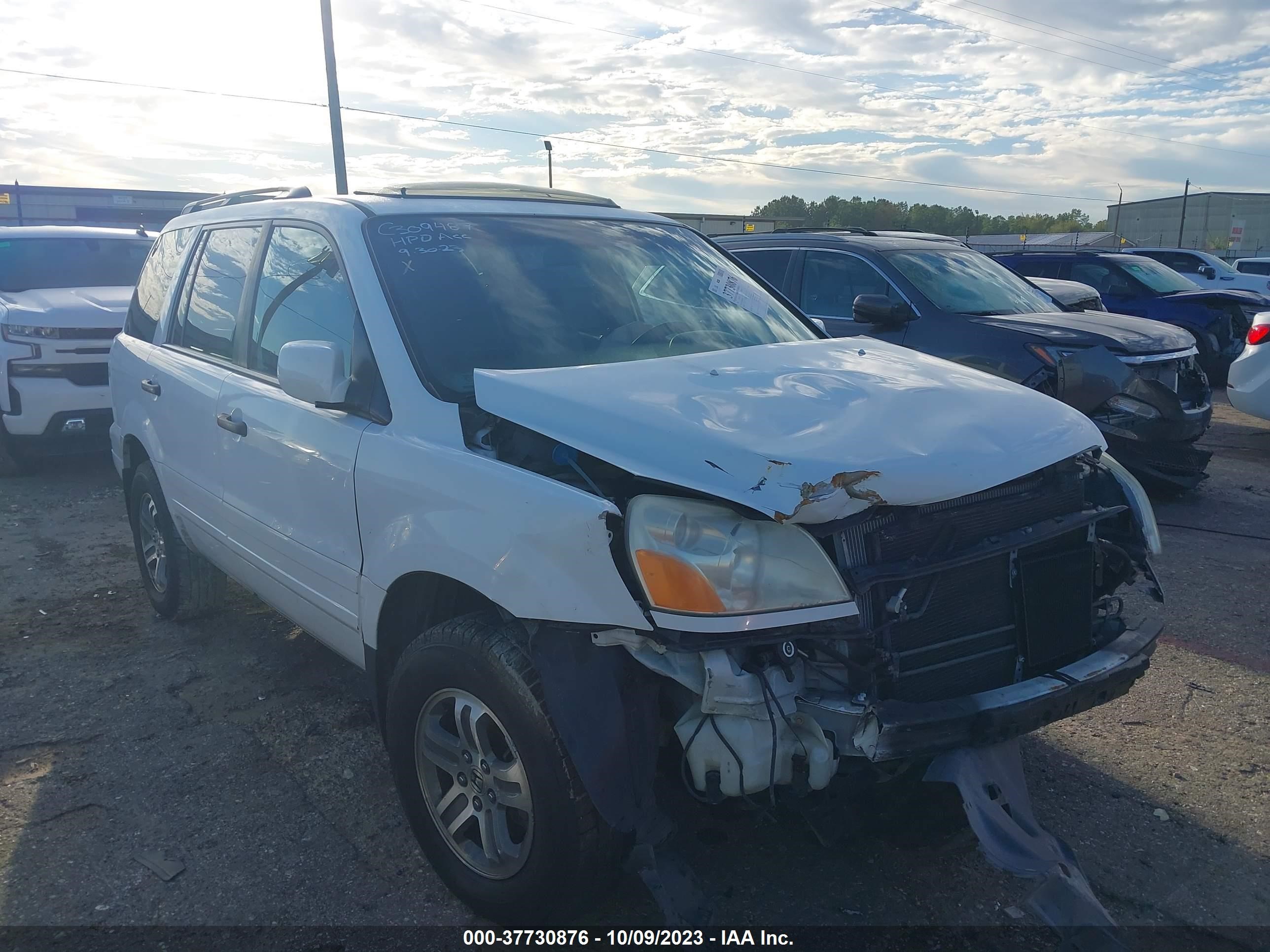 Photo 0 VIN: 5FNYF18545B013012 - HONDA PILOT 