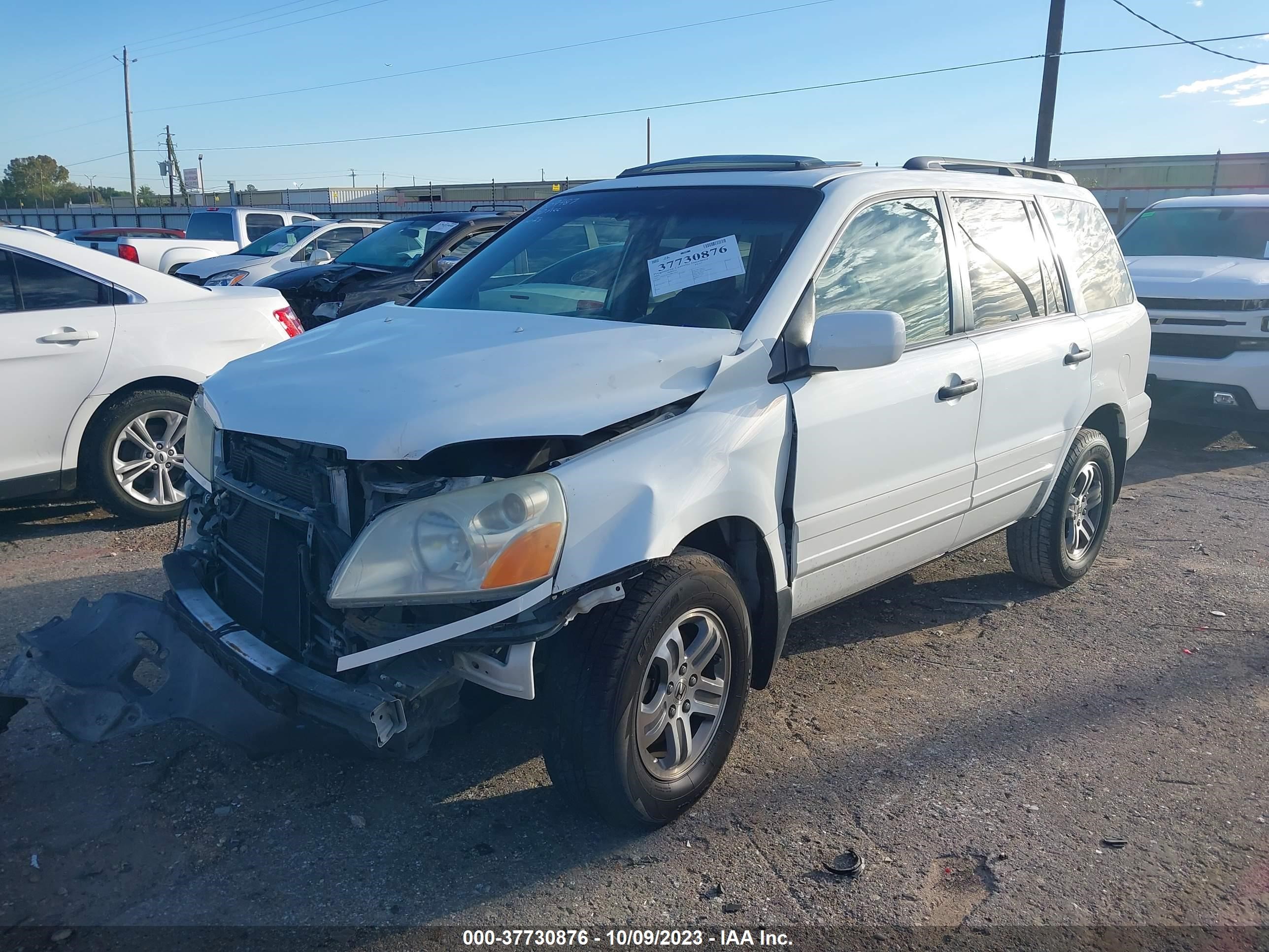 Photo 1 VIN: 5FNYF18545B013012 - HONDA PILOT 