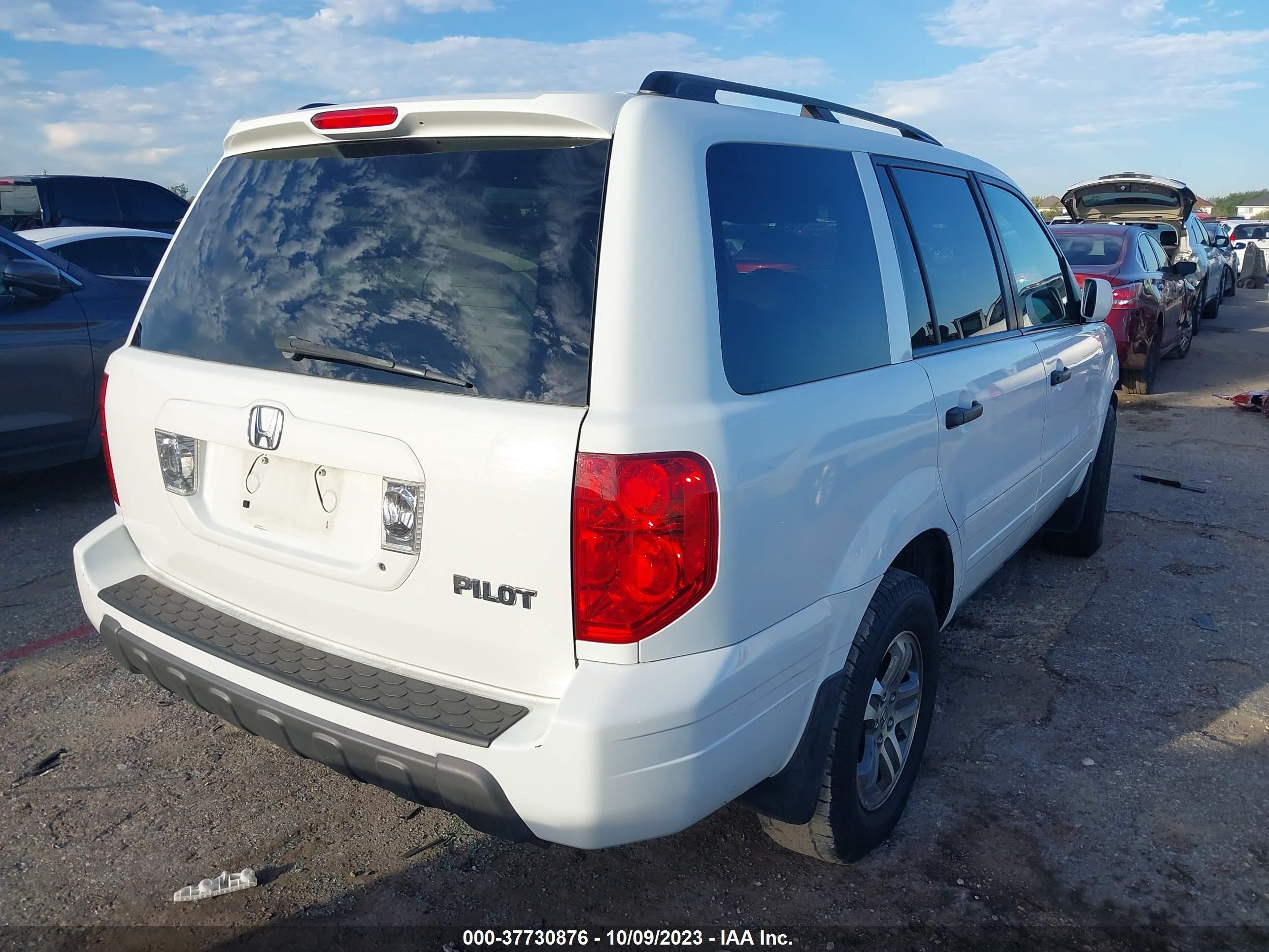 Photo 3 VIN: 5FNYF18545B013012 - HONDA PILOT 