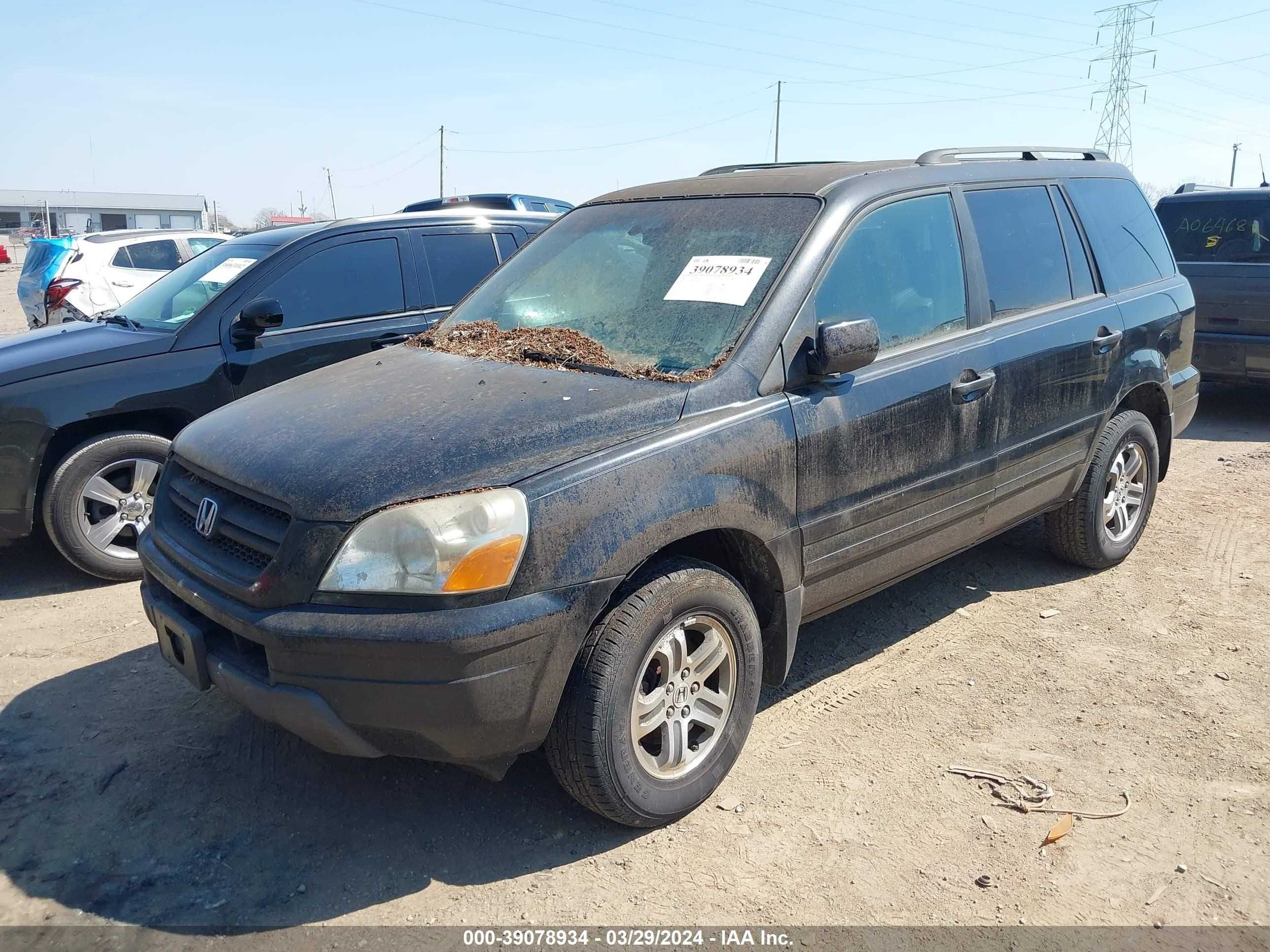 Photo 1 VIN: 5FNYF18545B016380 - HONDA PILOT 