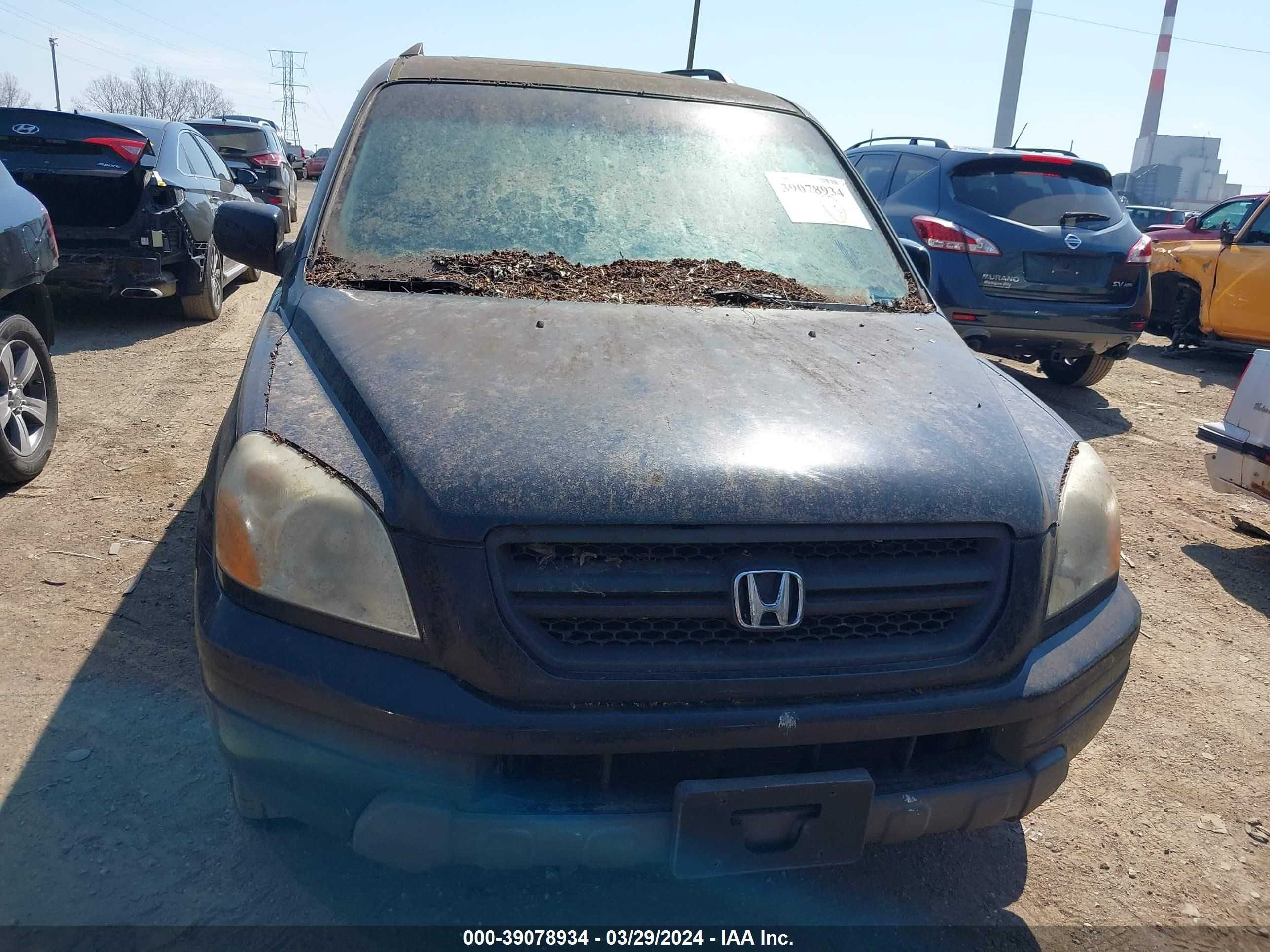 Photo 5 VIN: 5FNYF18545B016380 - HONDA PILOT 