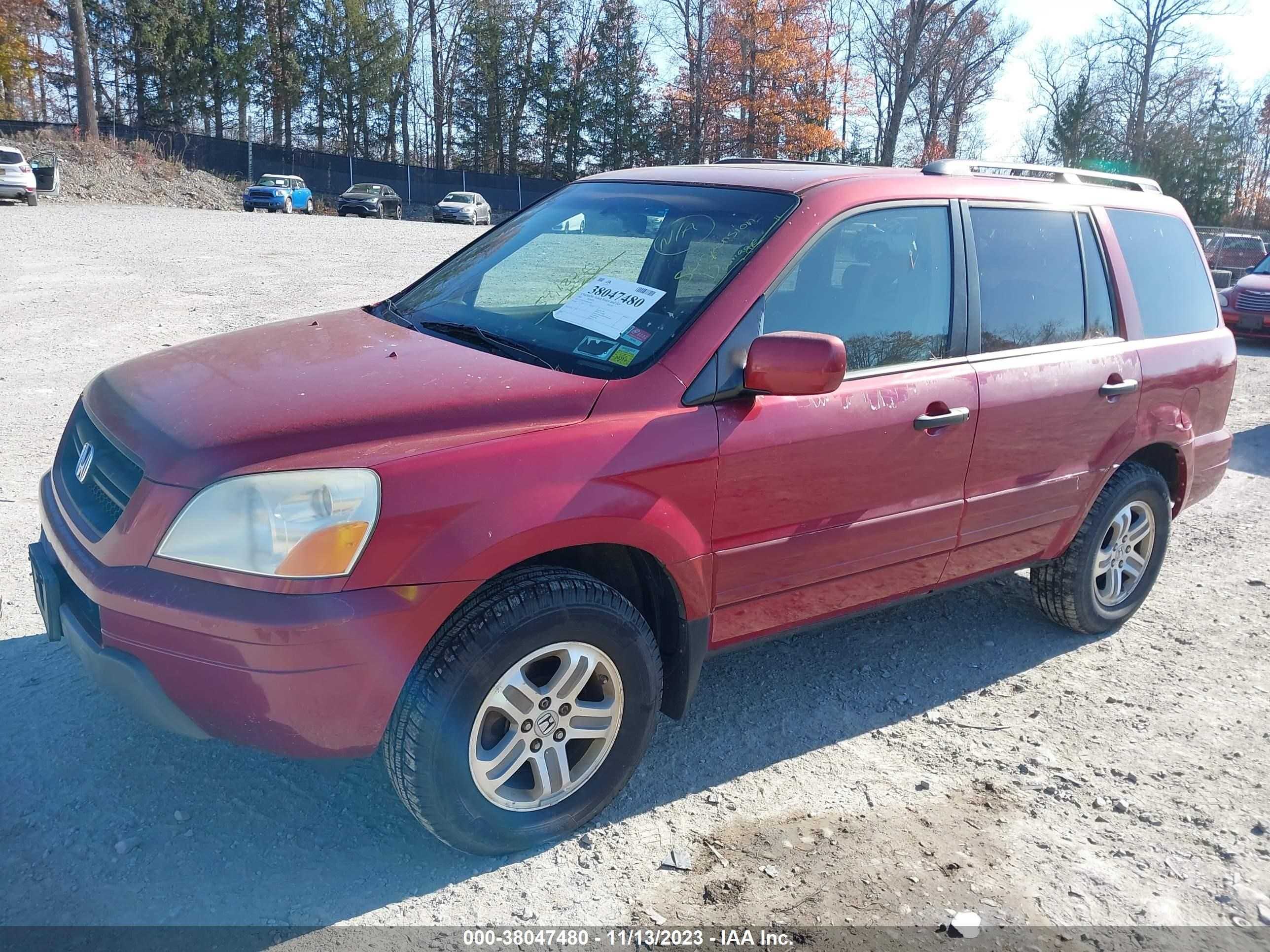 Photo 1 VIN: 5FNYF18545B065904 - HONDA PILOT 