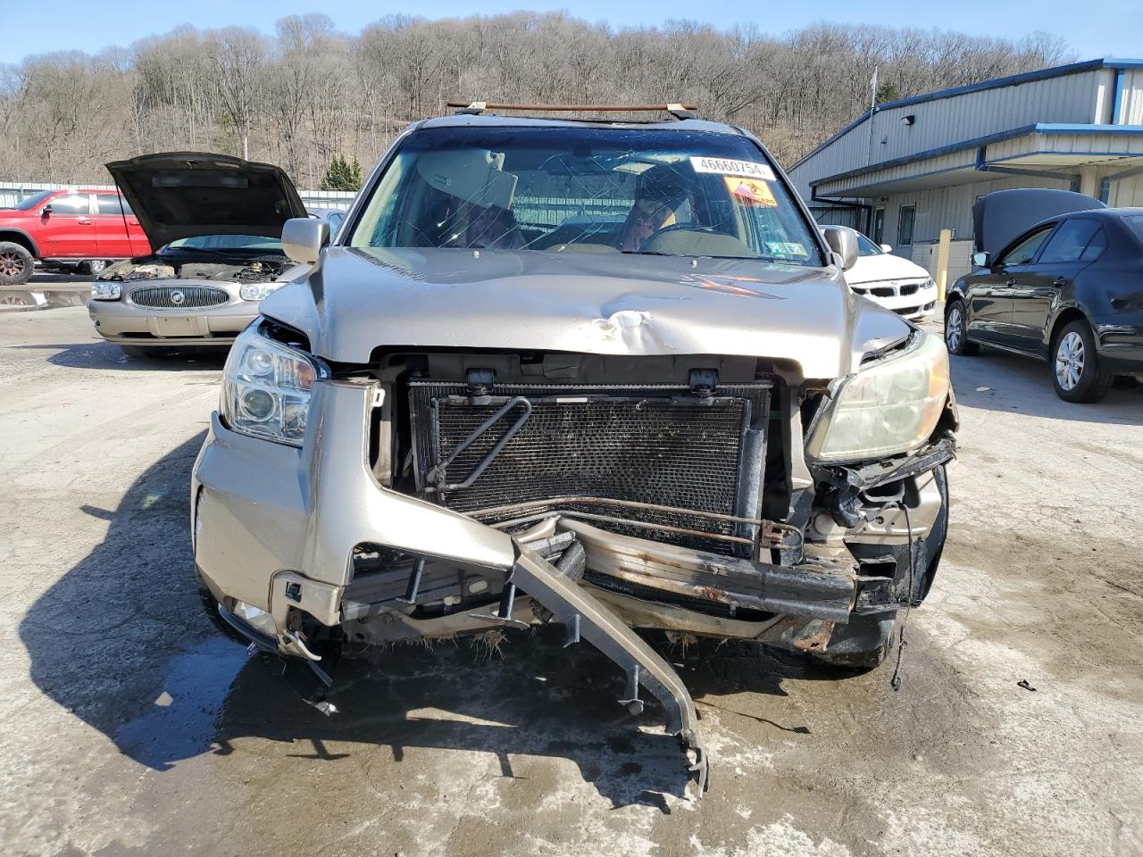 Photo 4 VIN: 5FNYF18546B007700 - HONDA PILOT 