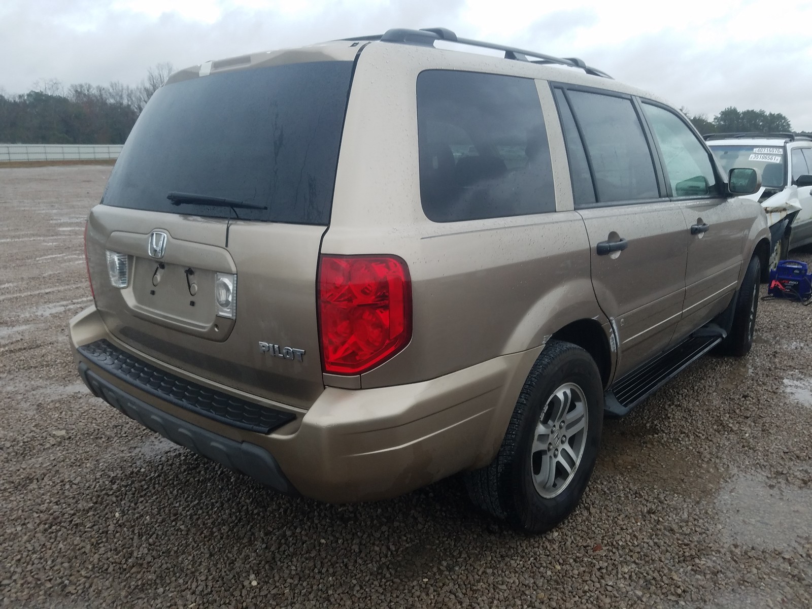 Photo 3 VIN: 5FNYF18555B019188 - HONDA PILOT EXL 