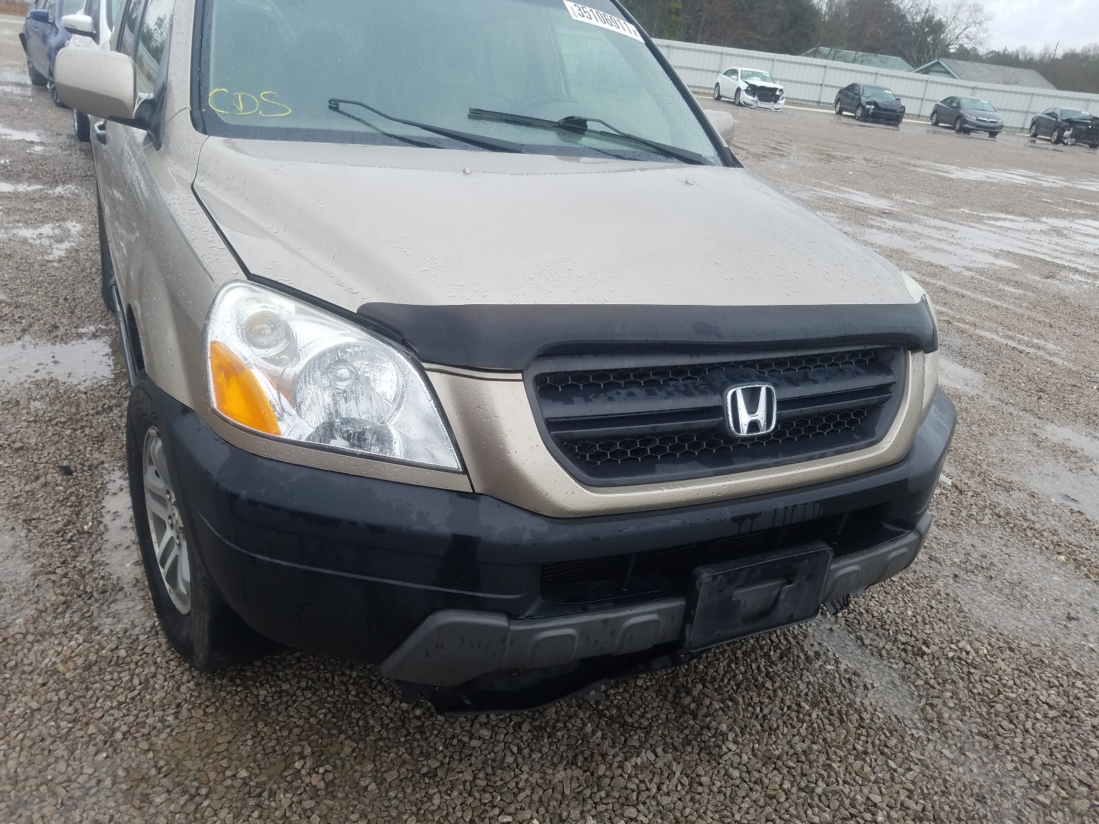 Photo 8 VIN: 5FNYF18555B019188 - HONDA PILOT EXL 