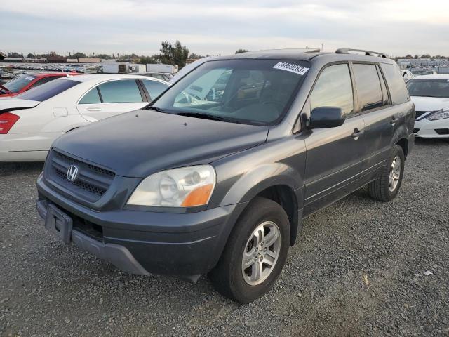 Photo 0 VIN: 5FNYF18575B033481 - HONDA PILOT 