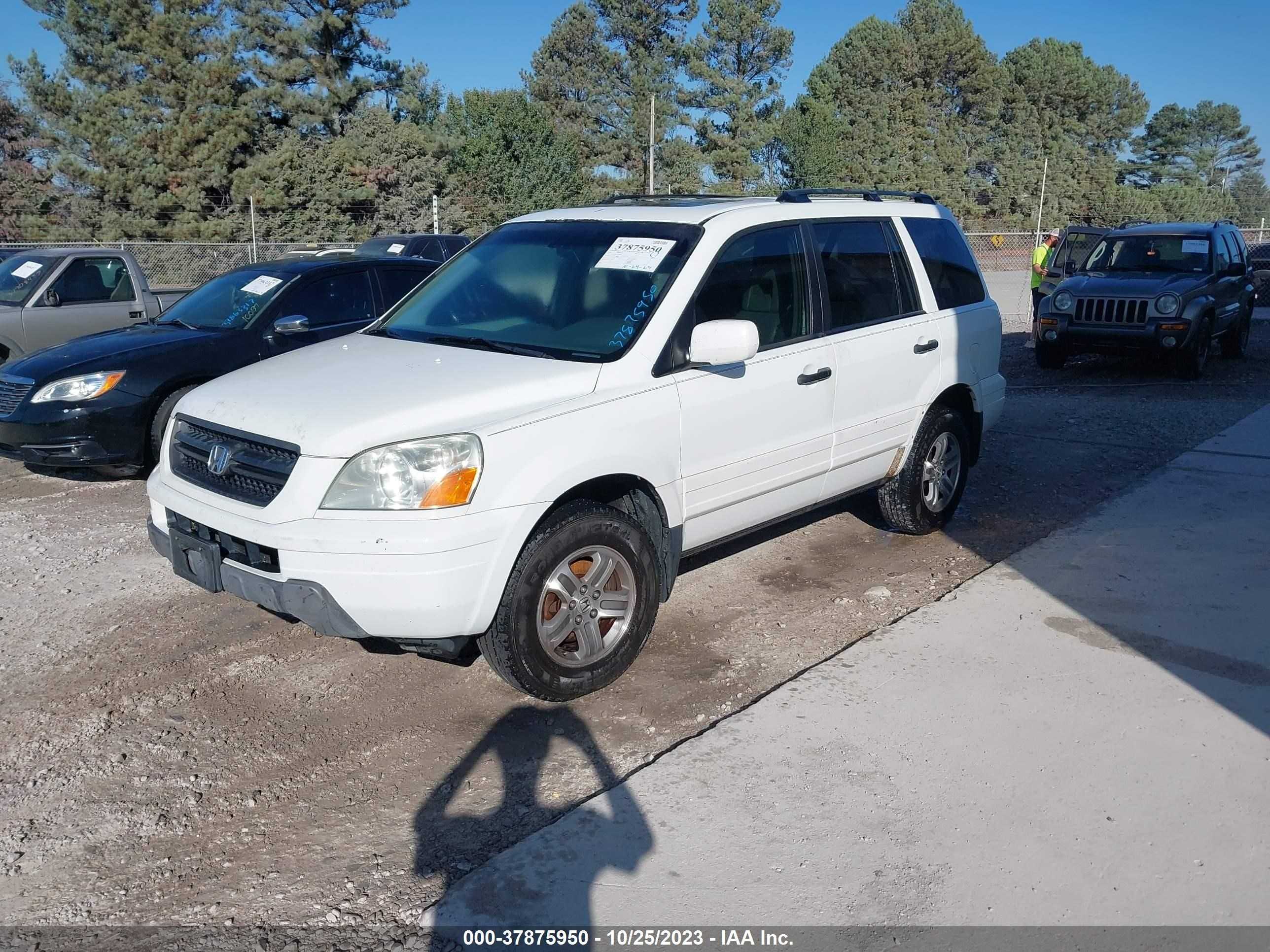 Photo 1 VIN: 5FNYF18595B054607 - HONDA PILOT 