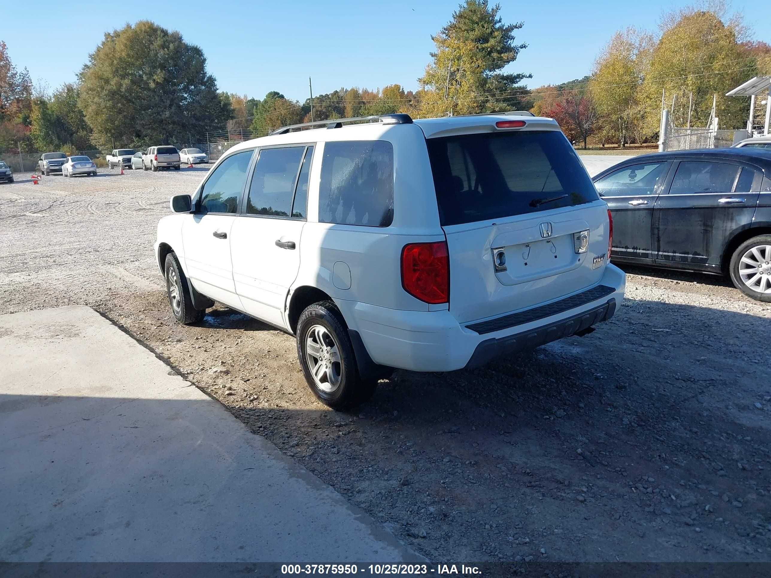 Photo 2 VIN: 5FNYF18595B054607 - HONDA PILOT 