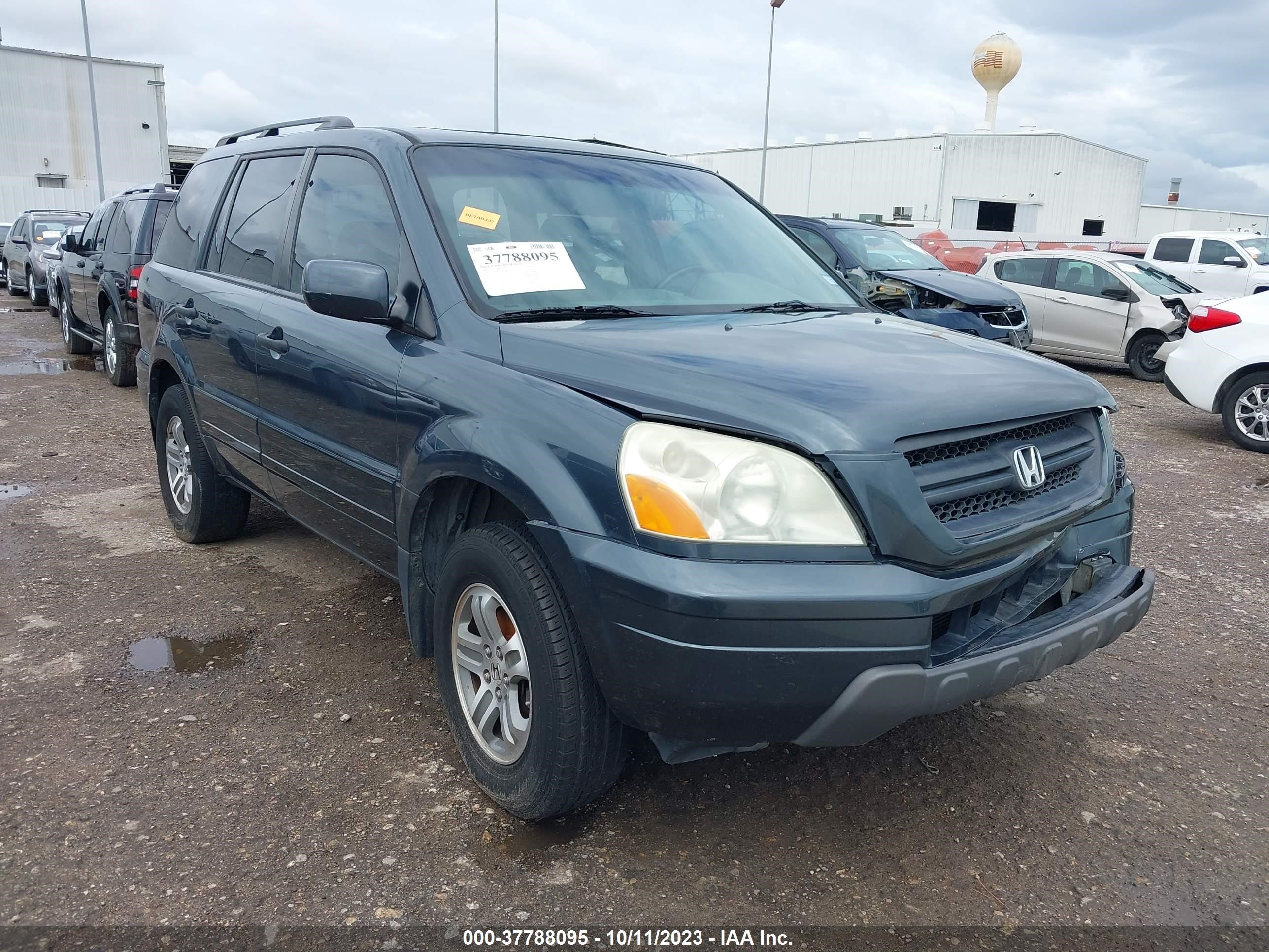 Photo 0 VIN: 5FNYF18615B029063 - HONDA PILOT 