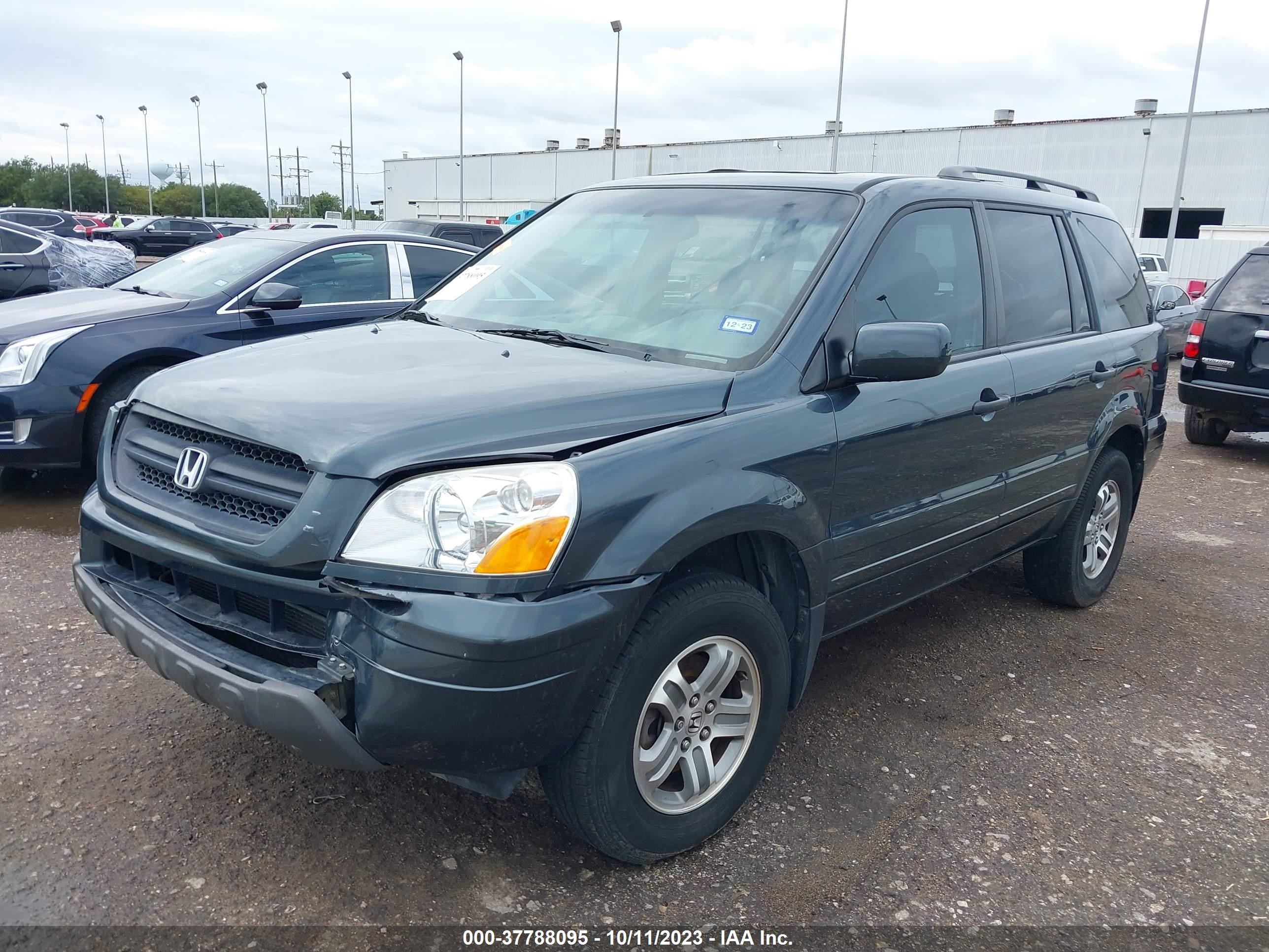 Photo 1 VIN: 5FNYF18615B029063 - HONDA PILOT 