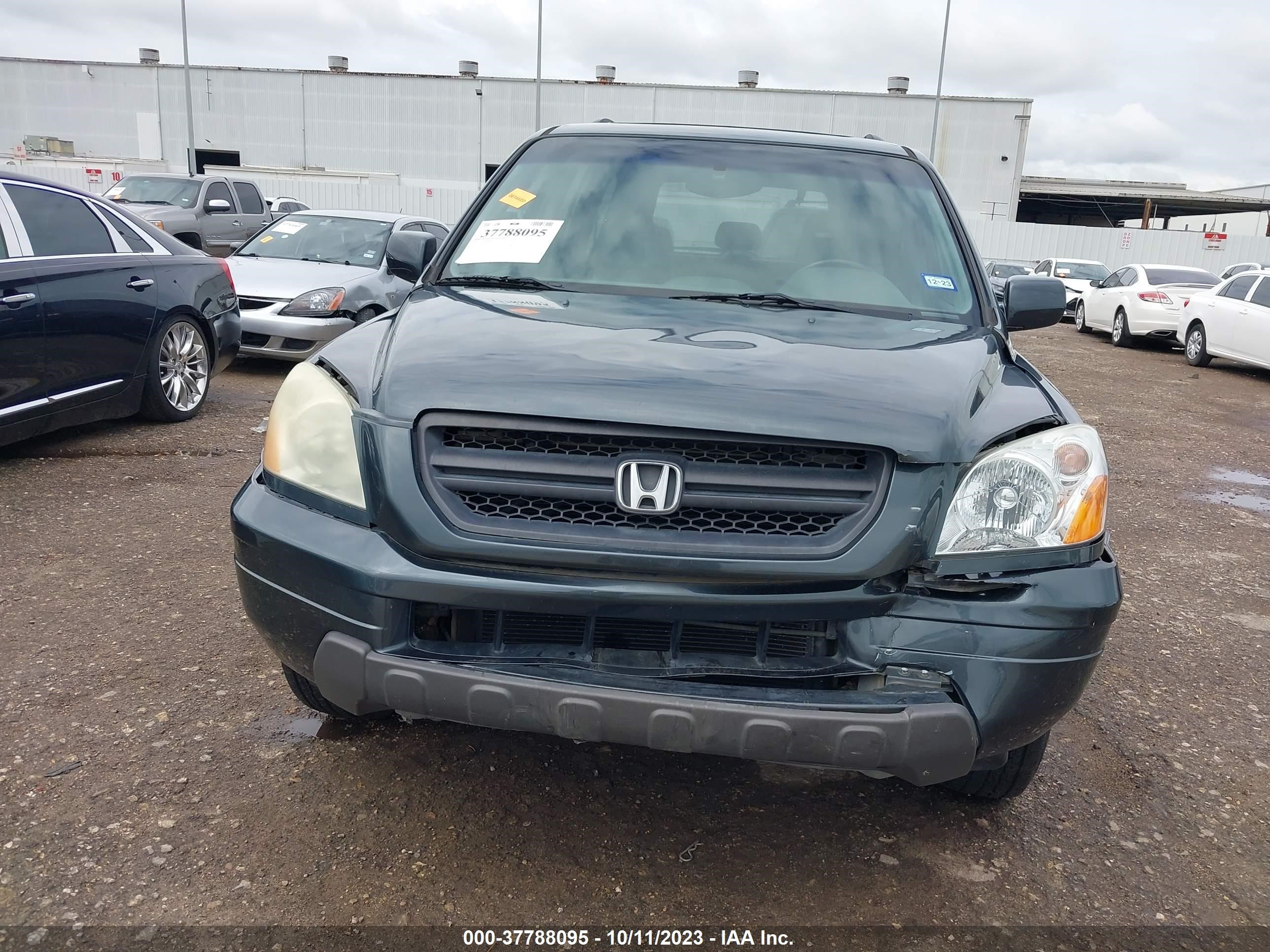 Photo 11 VIN: 5FNYF18615B029063 - HONDA PILOT 