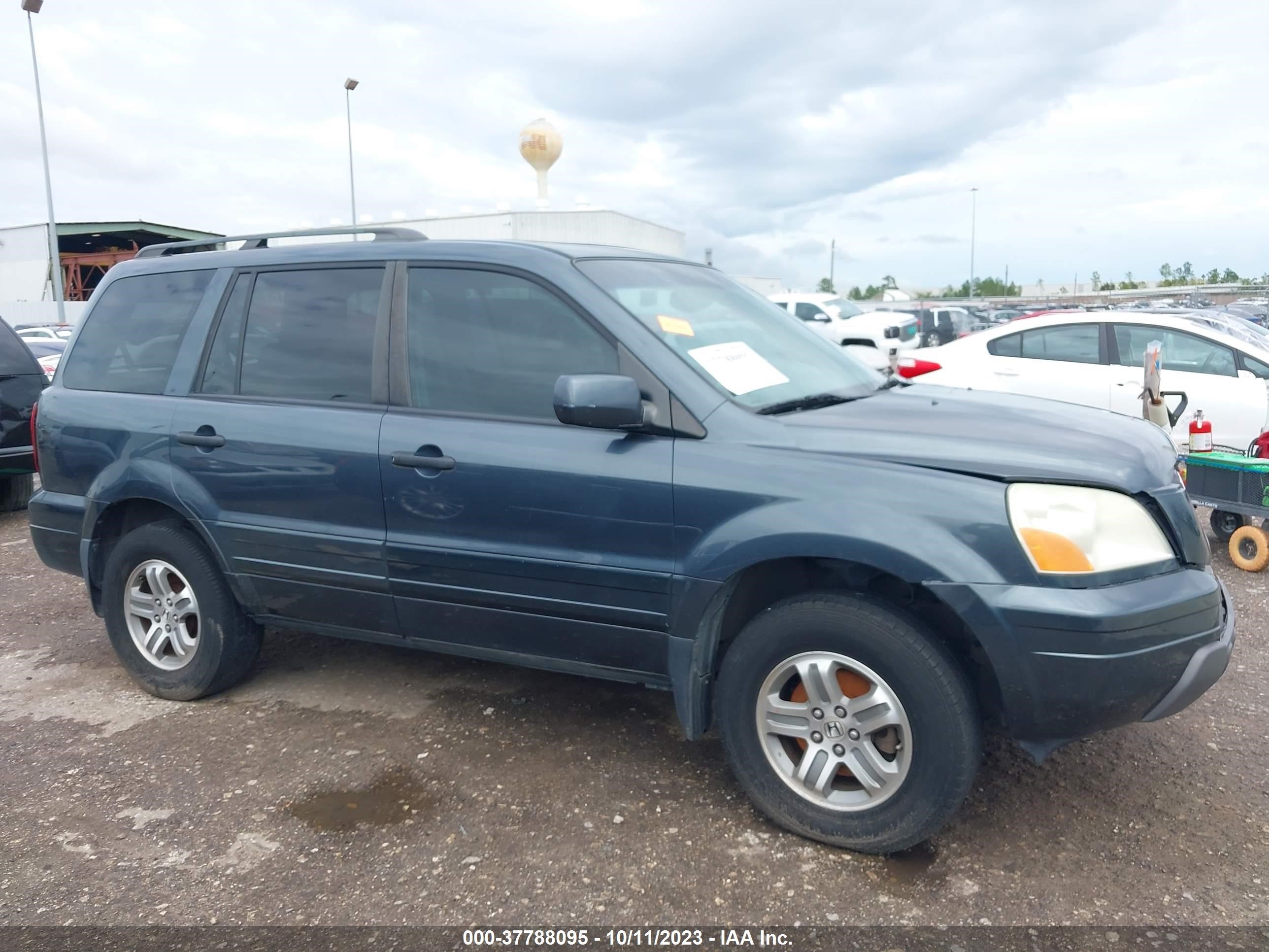 Photo 12 VIN: 5FNYF18615B029063 - HONDA PILOT 