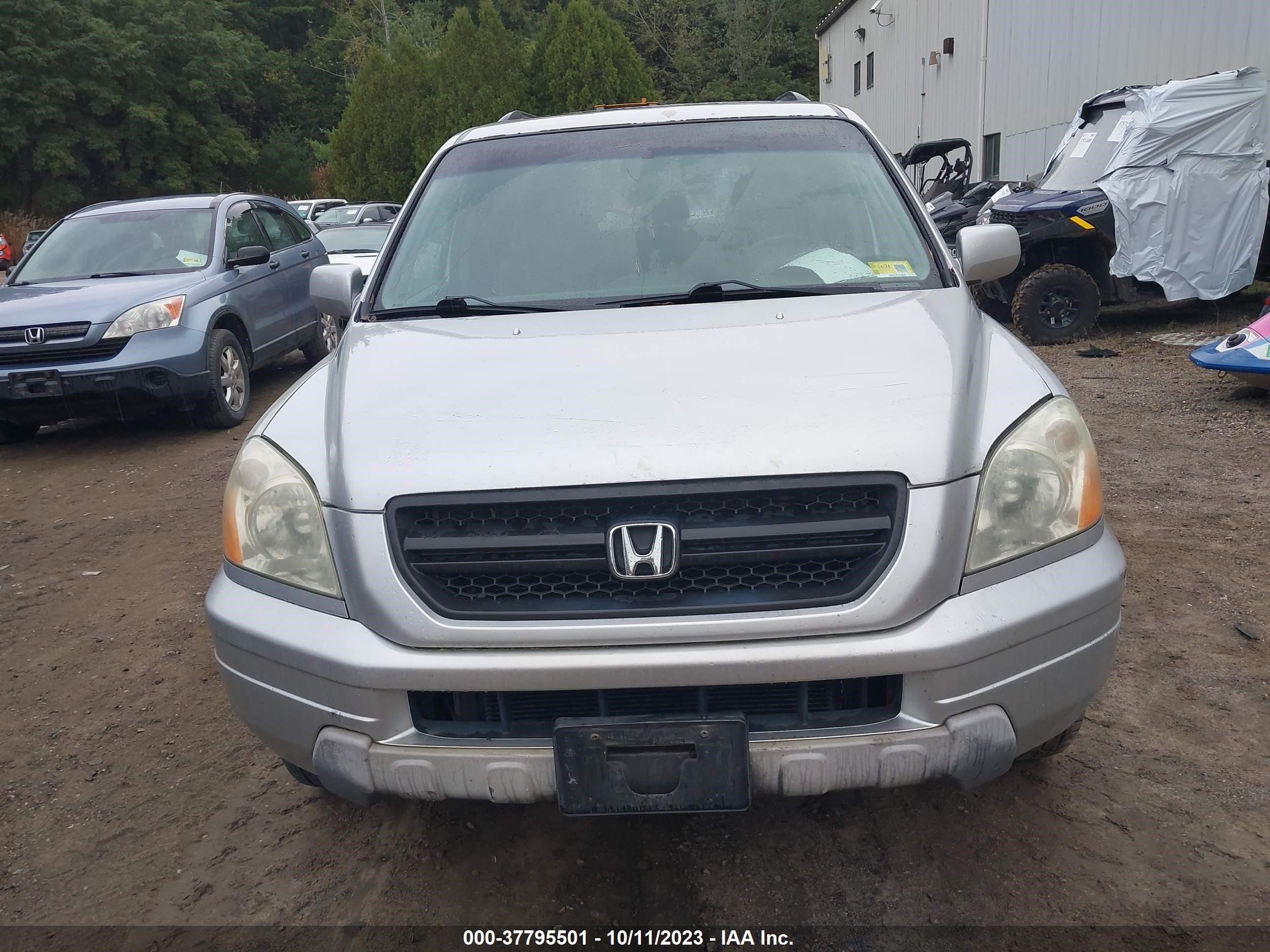 Photo 5 VIN: 5FNYF18615B062757 - HONDA PILOT 