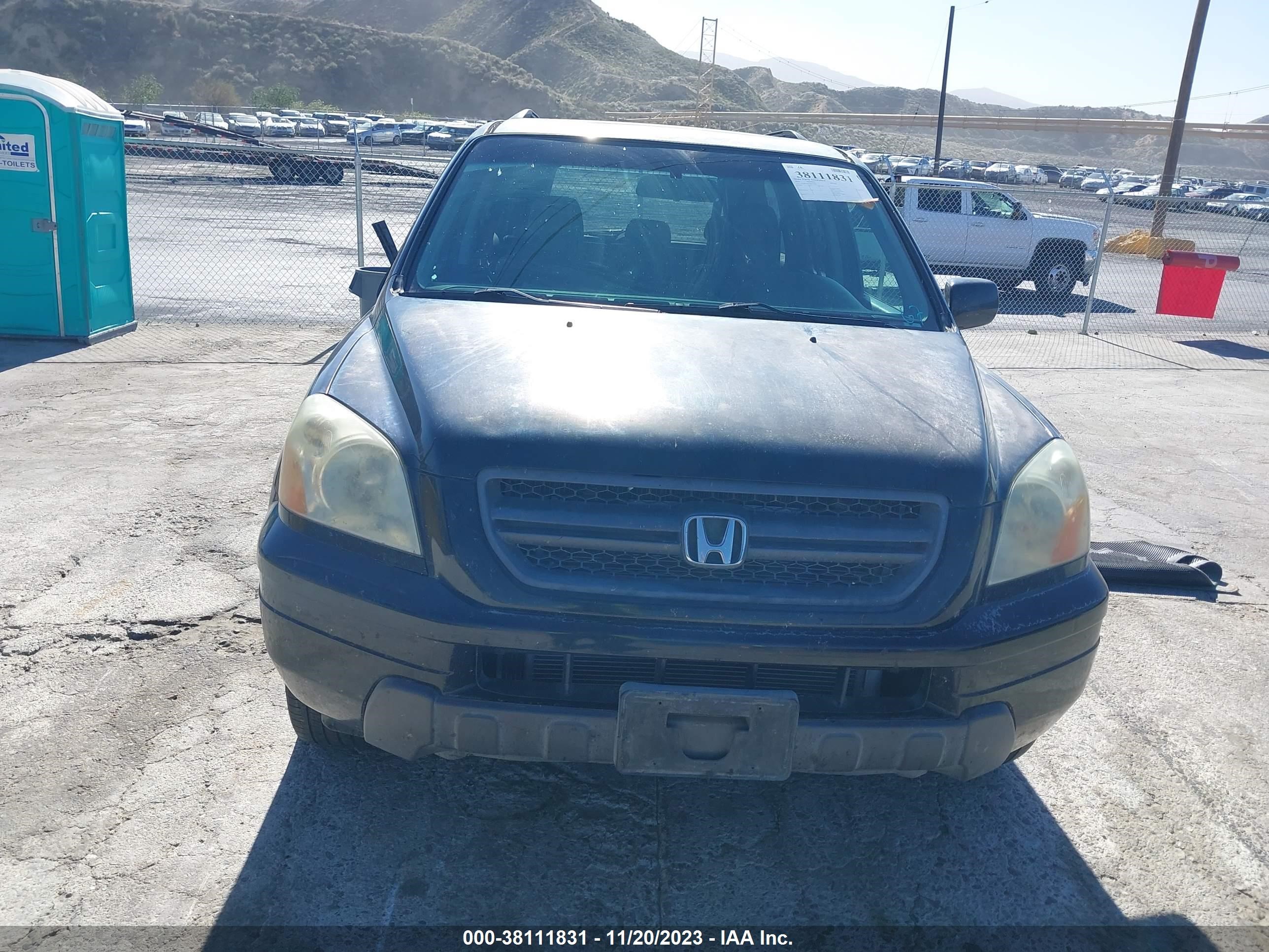 Photo 12 VIN: 5FNYF18625B015916 - HONDA PILOT 