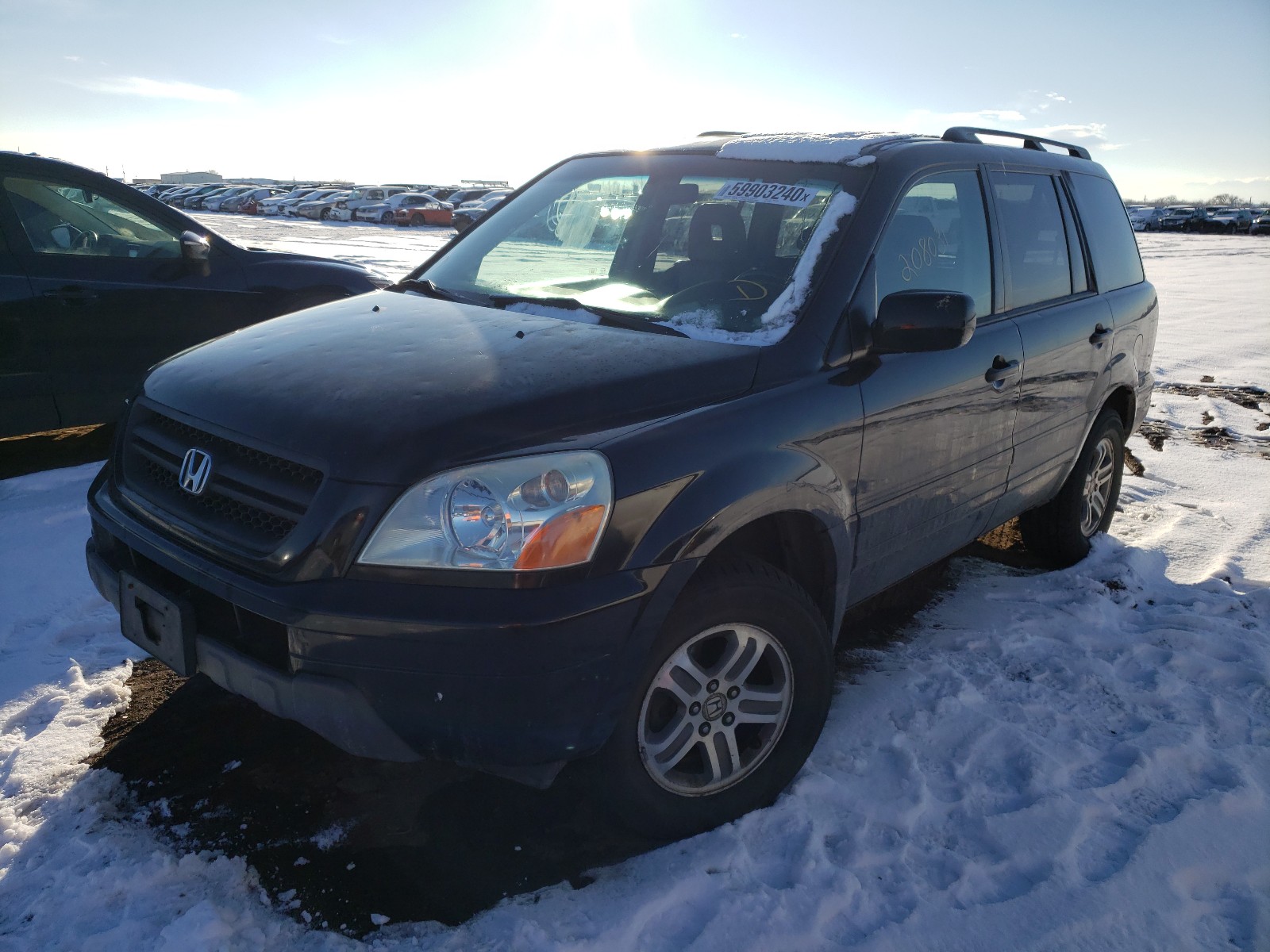 Photo 1 VIN: 5FNYF18625B062833 - HONDA PILOT EXL 