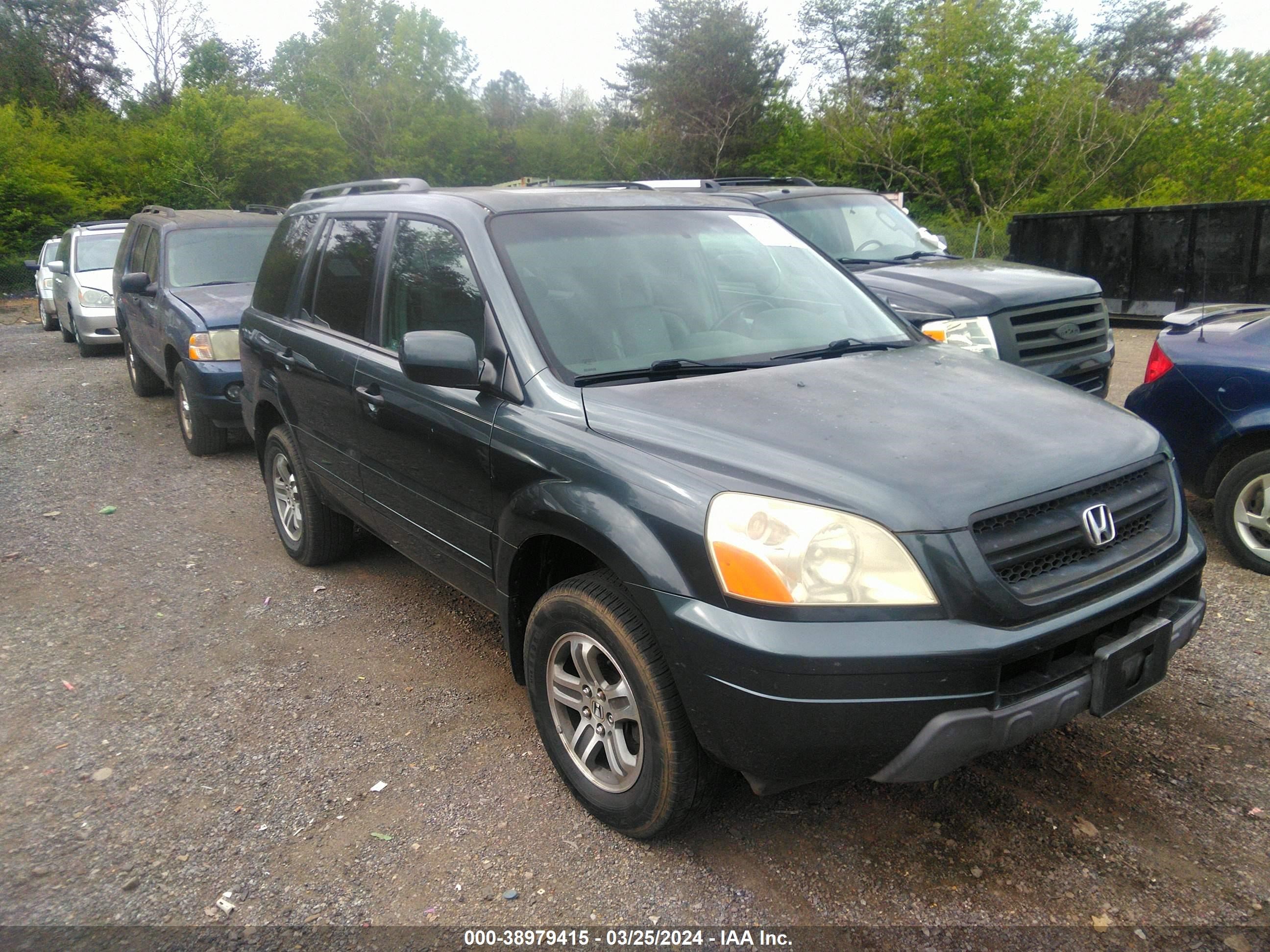 Photo 0 VIN: 5FNYF18625B064937 - HONDA PILOT 