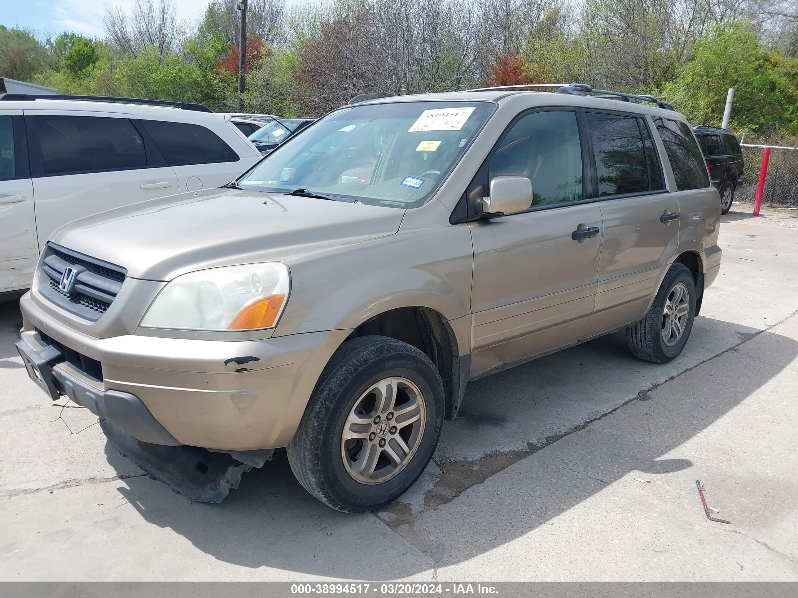 Photo 1 VIN: 5FNYF18645B006781 - HONDA PILOT 