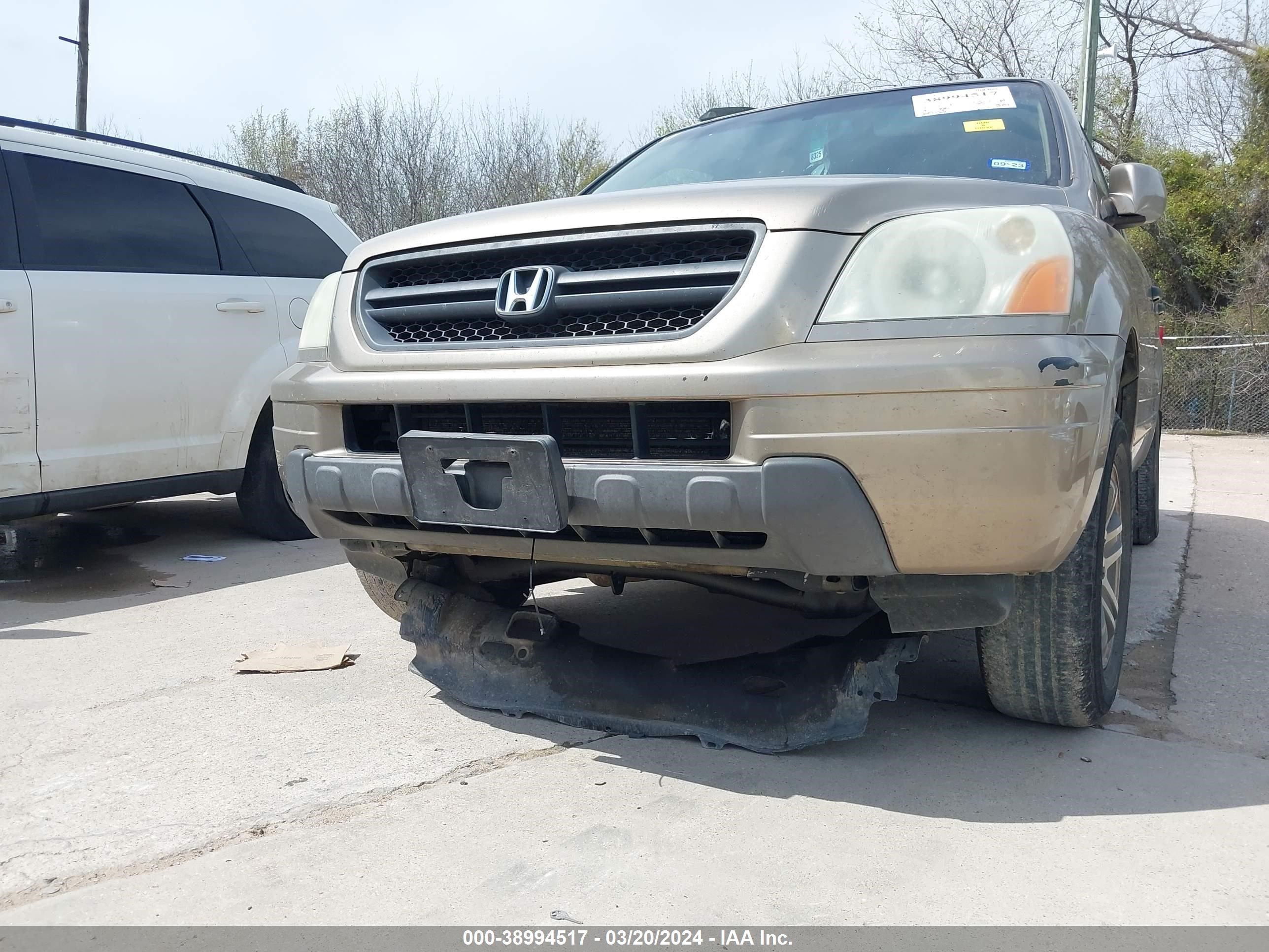 Photo 5 VIN: 5FNYF18645B006781 - HONDA PILOT 