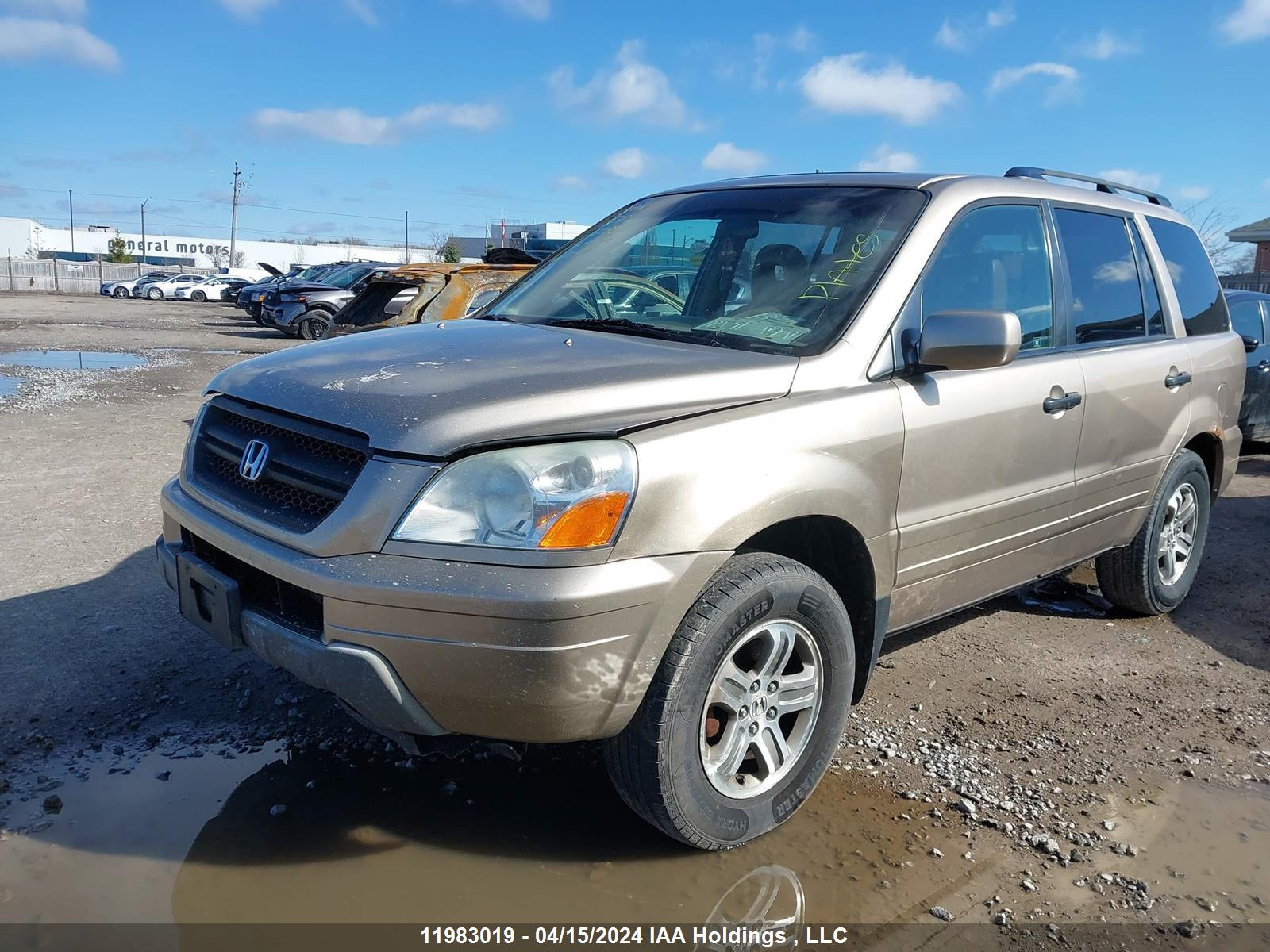 Photo 1 VIN: 5FNYF18645B027856 - HONDA PILOT 