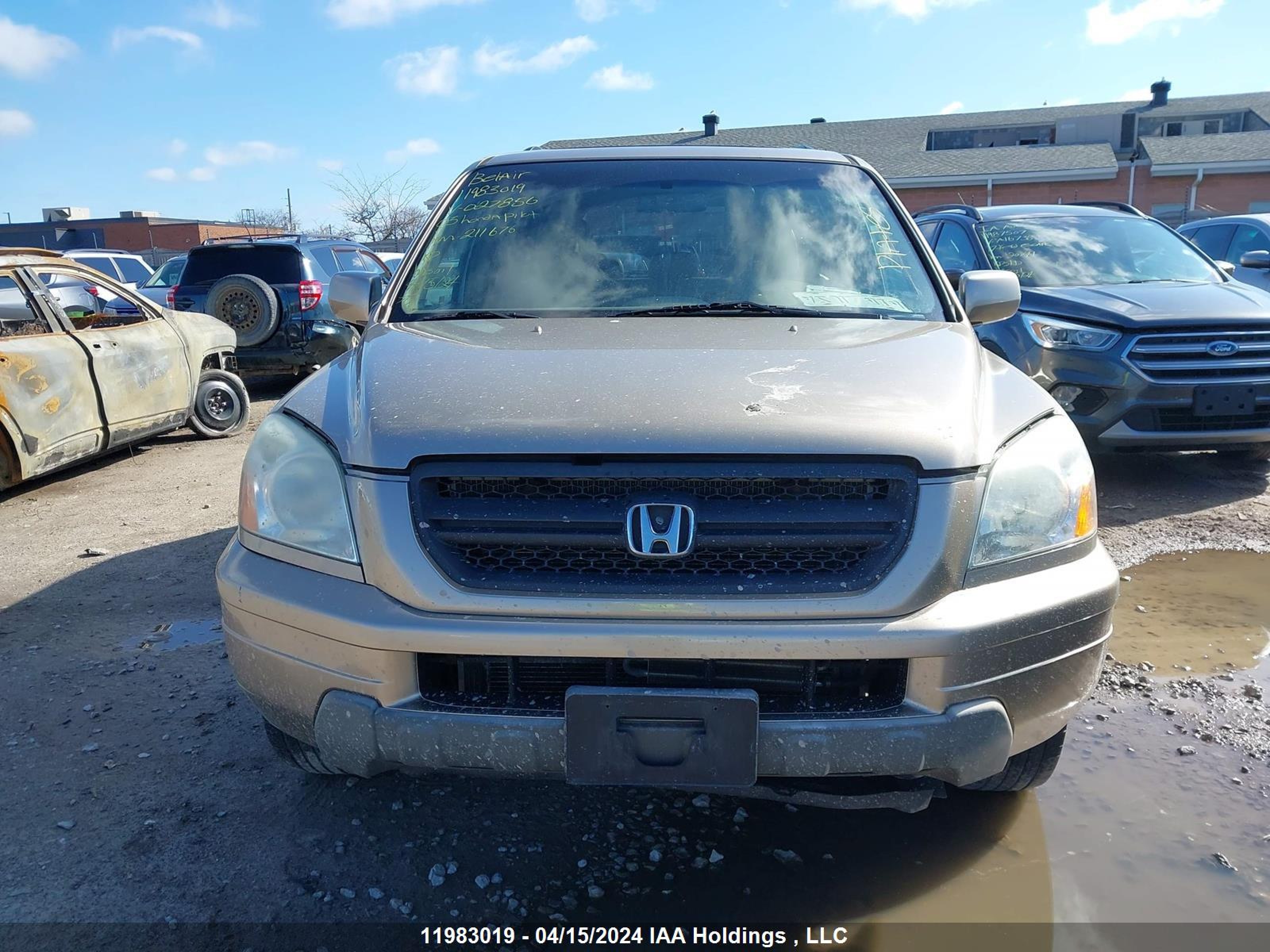 Photo 11 VIN: 5FNYF18645B027856 - HONDA PILOT 