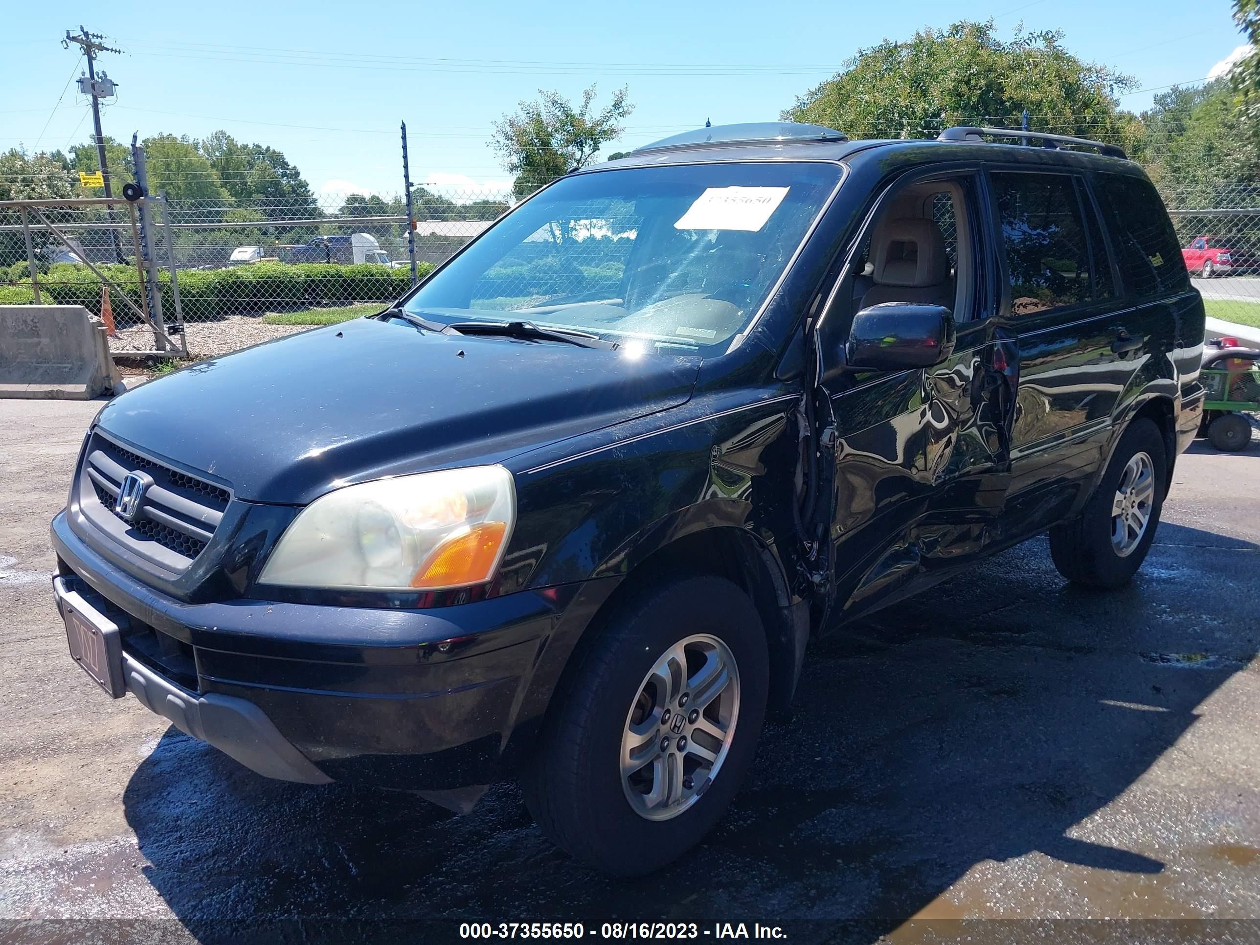 Photo 1 VIN: 5FNYF18675B003762 - HONDA PILOT 