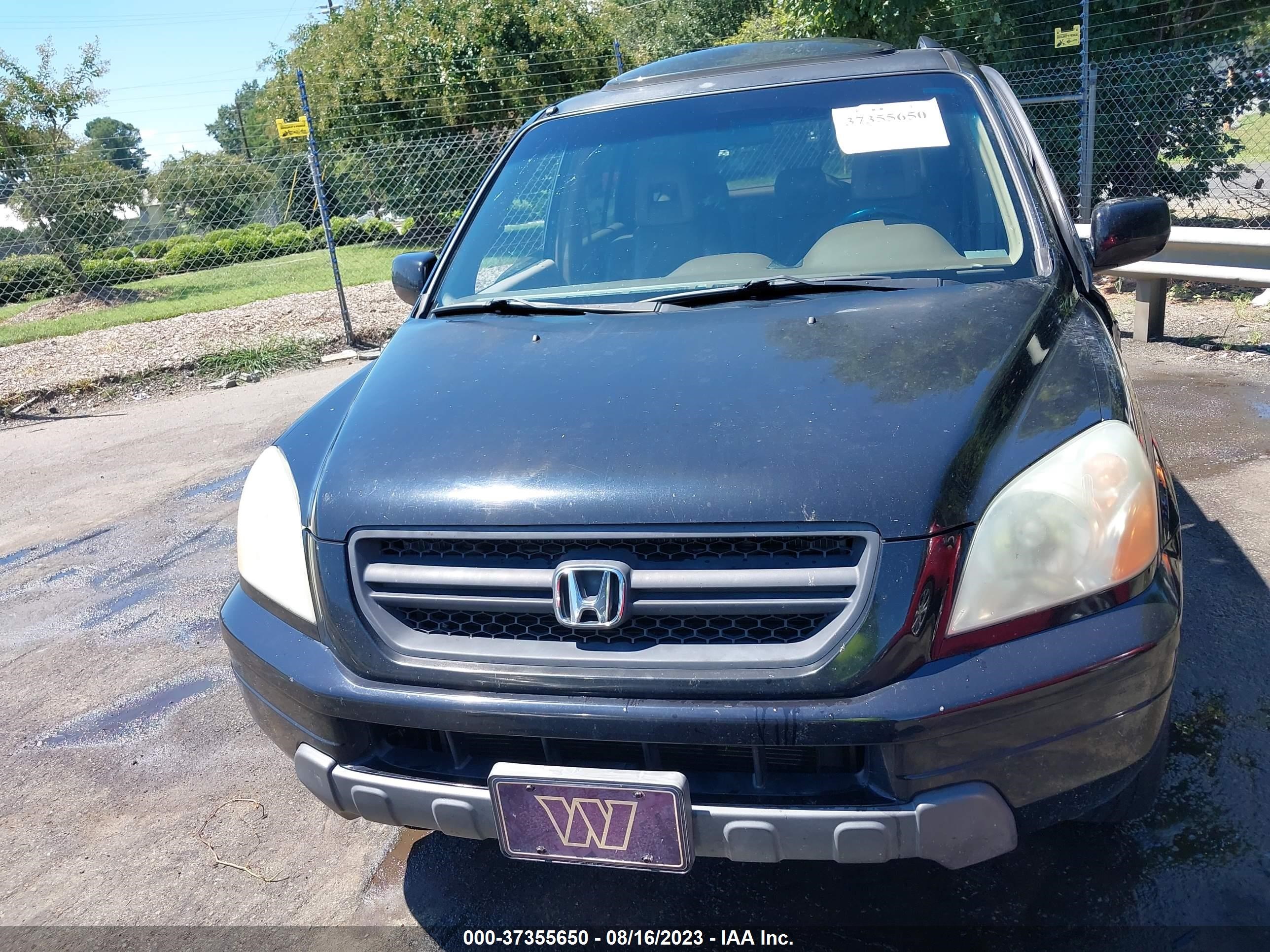 Photo 11 VIN: 5FNYF18675B003762 - HONDA PILOT 