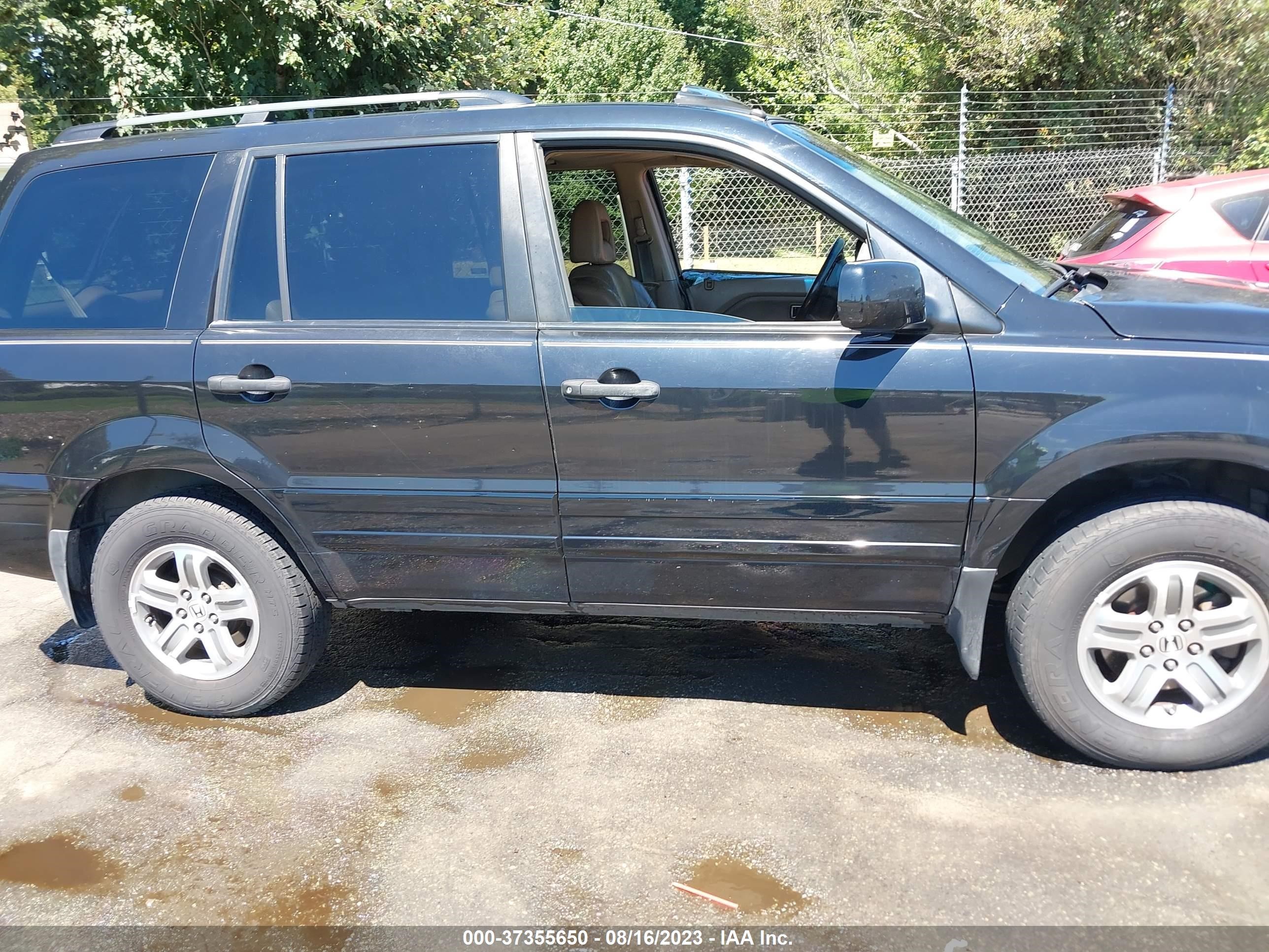 Photo 12 VIN: 5FNYF18675B003762 - HONDA PILOT 