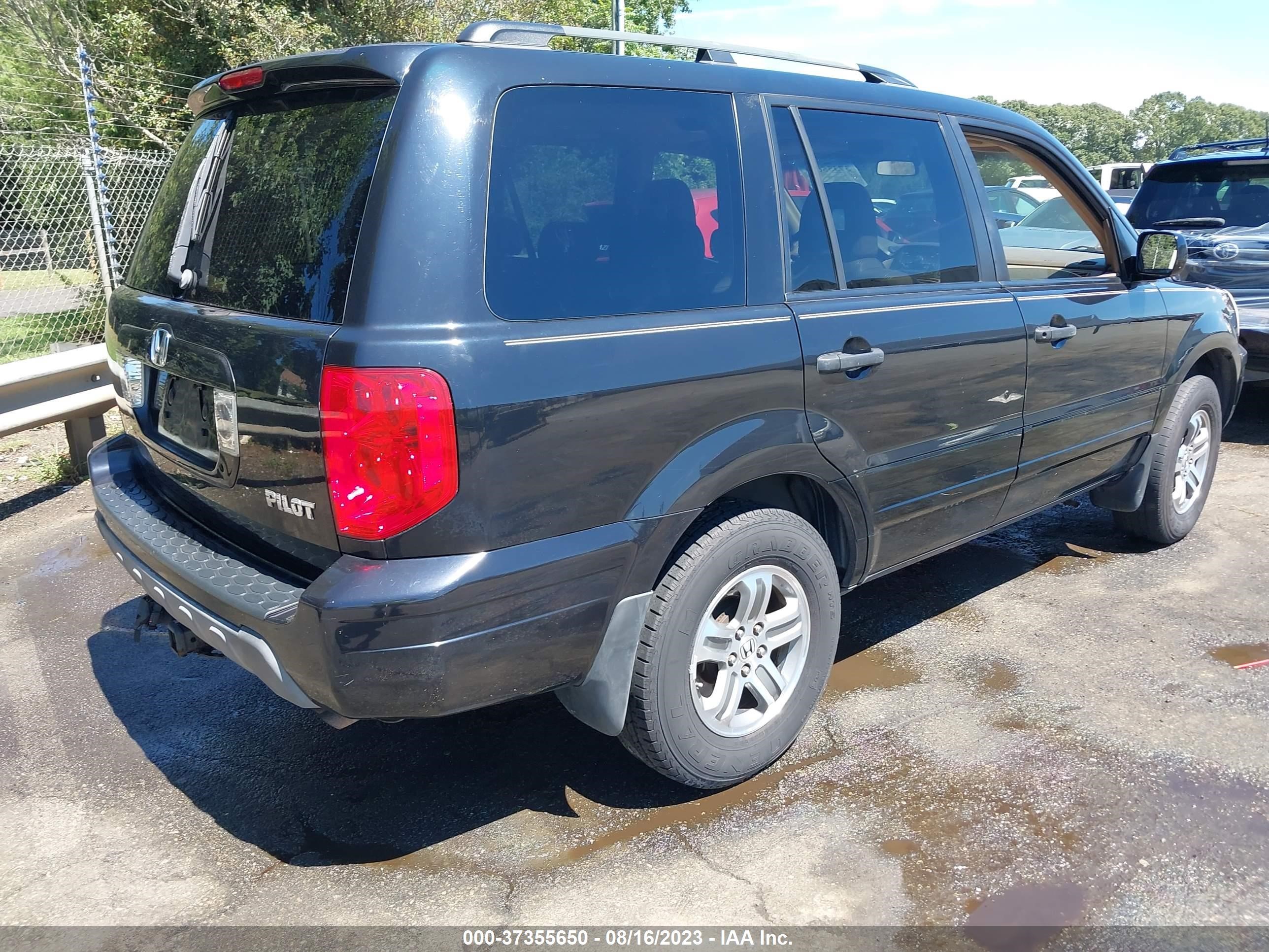 Photo 3 VIN: 5FNYF18675B003762 - HONDA PILOT 