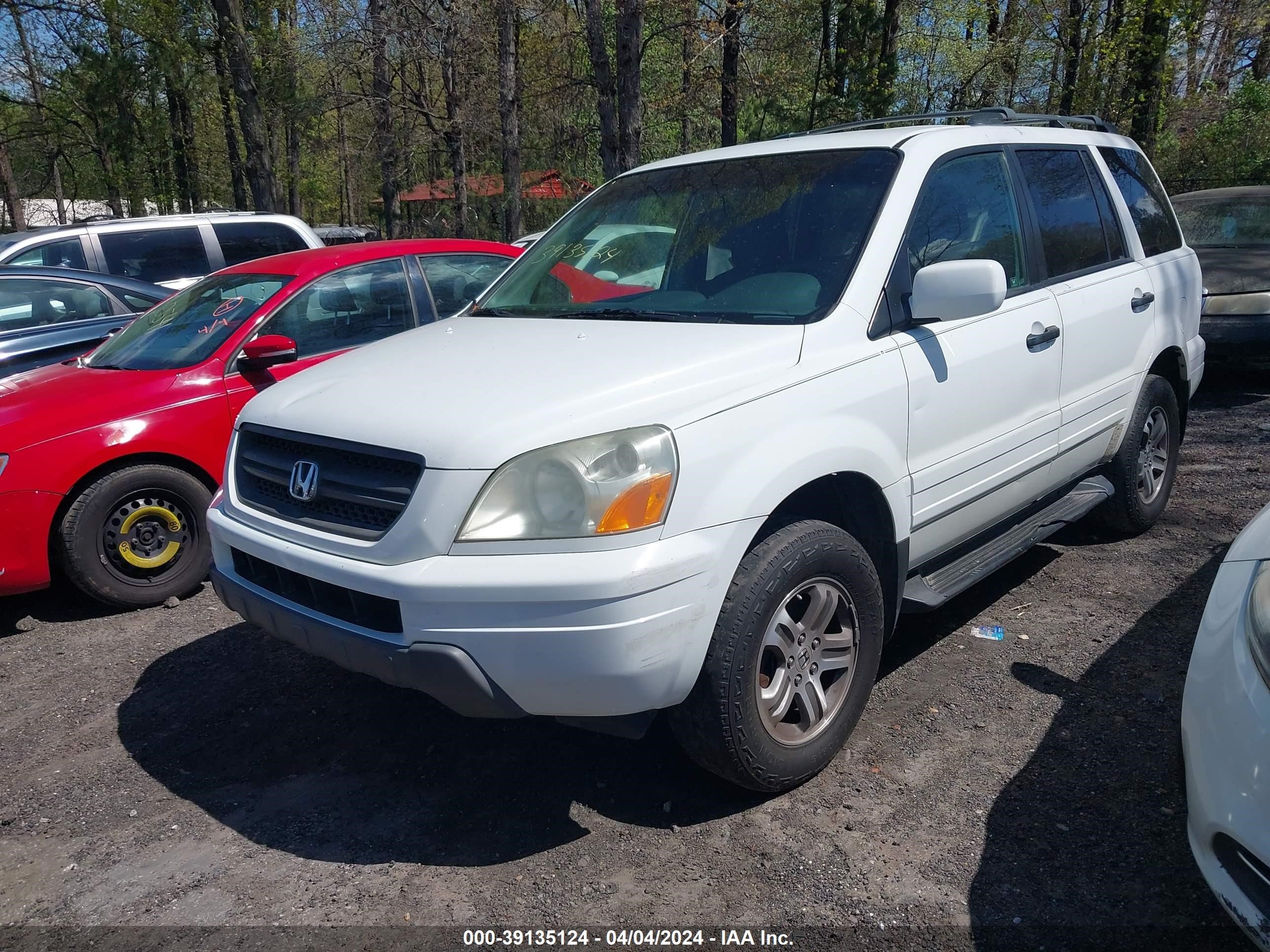 Photo 1 VIN: 5FNYF18694B010985 - HONDA PILOT 