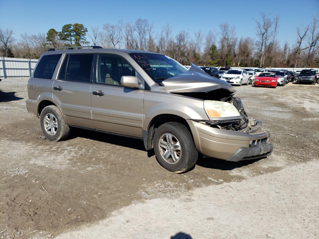 Photo 3 VIN: 5FNYF18695B023530 - HONDA PILOT 