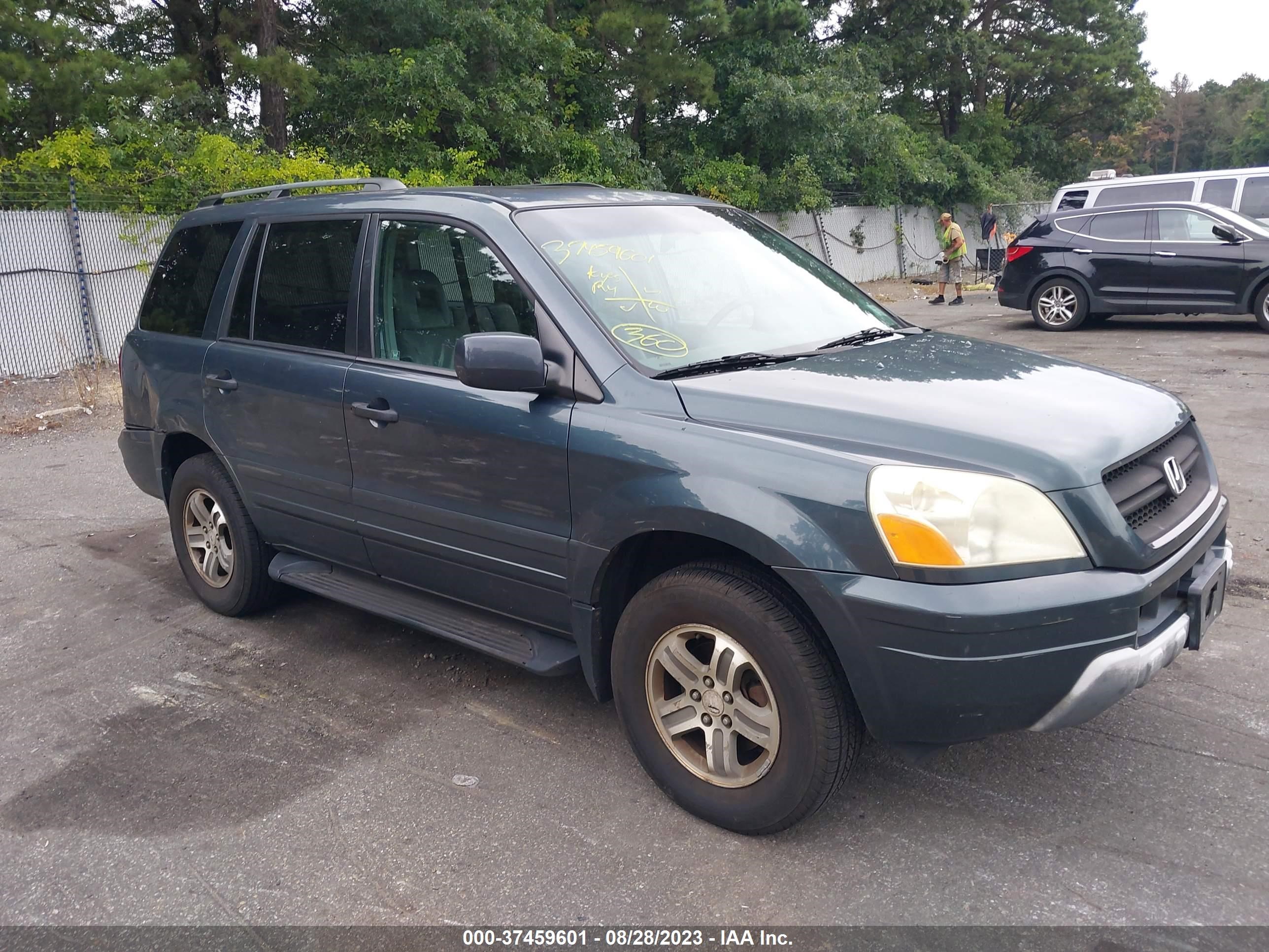 Photo 0 VIN: 5FNYF186X5B048422 - HONDA PILOT 