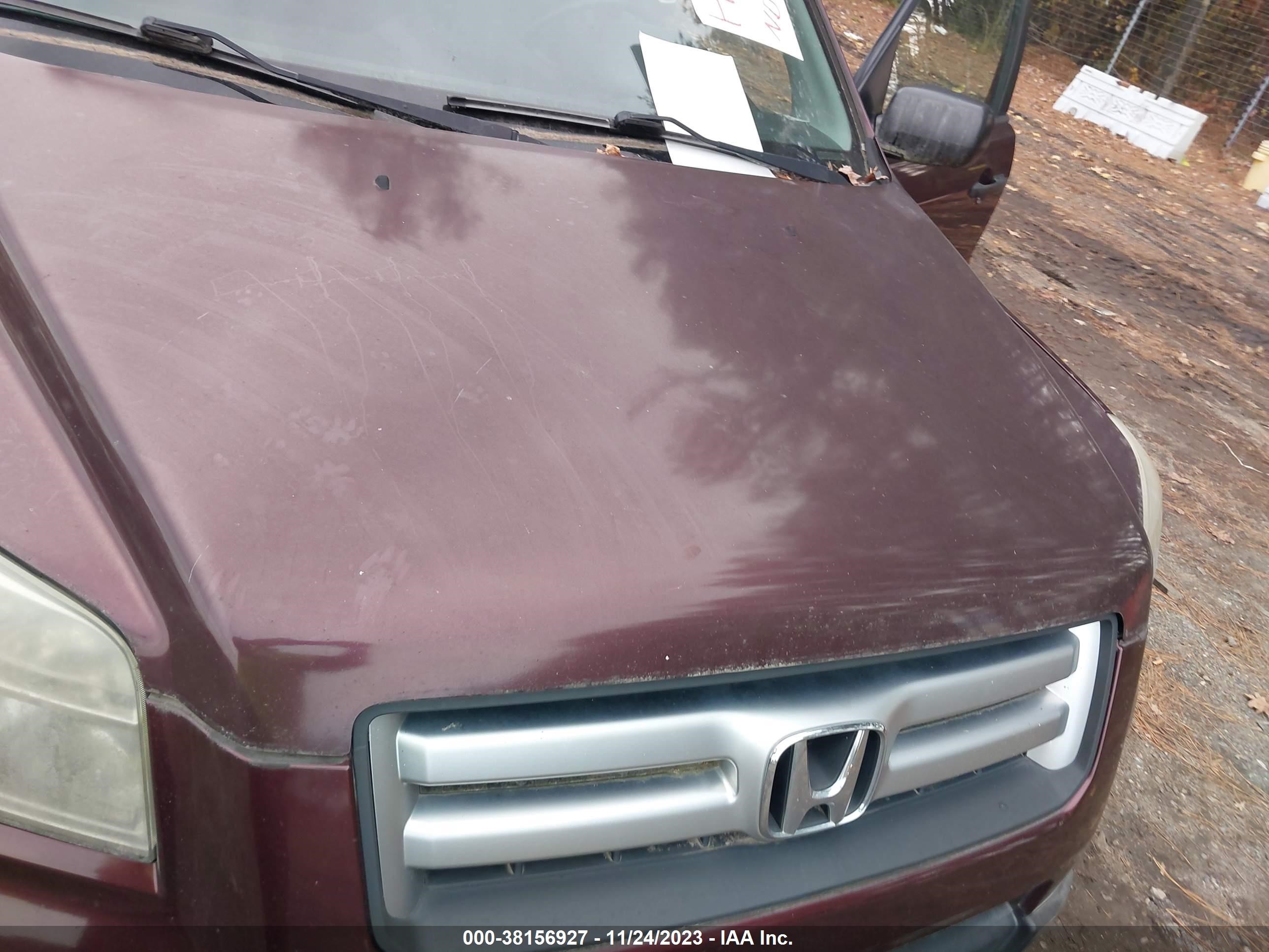 Photo 5 VIN: 5FNYF28117B033515 - HONDA PILOT 