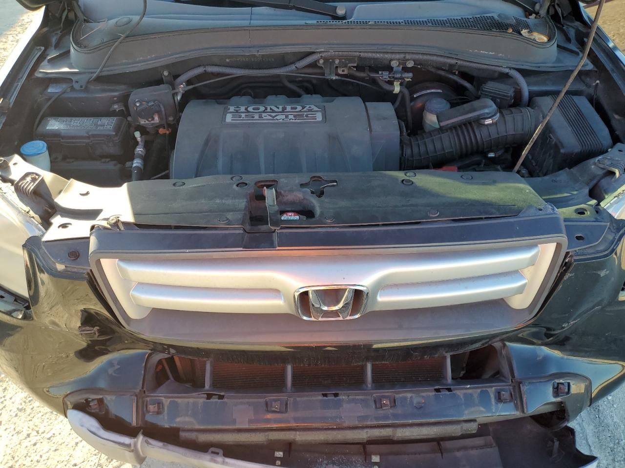 Photo 11 VIN: 5FNYF28518B014144 - HONDA PILOT 