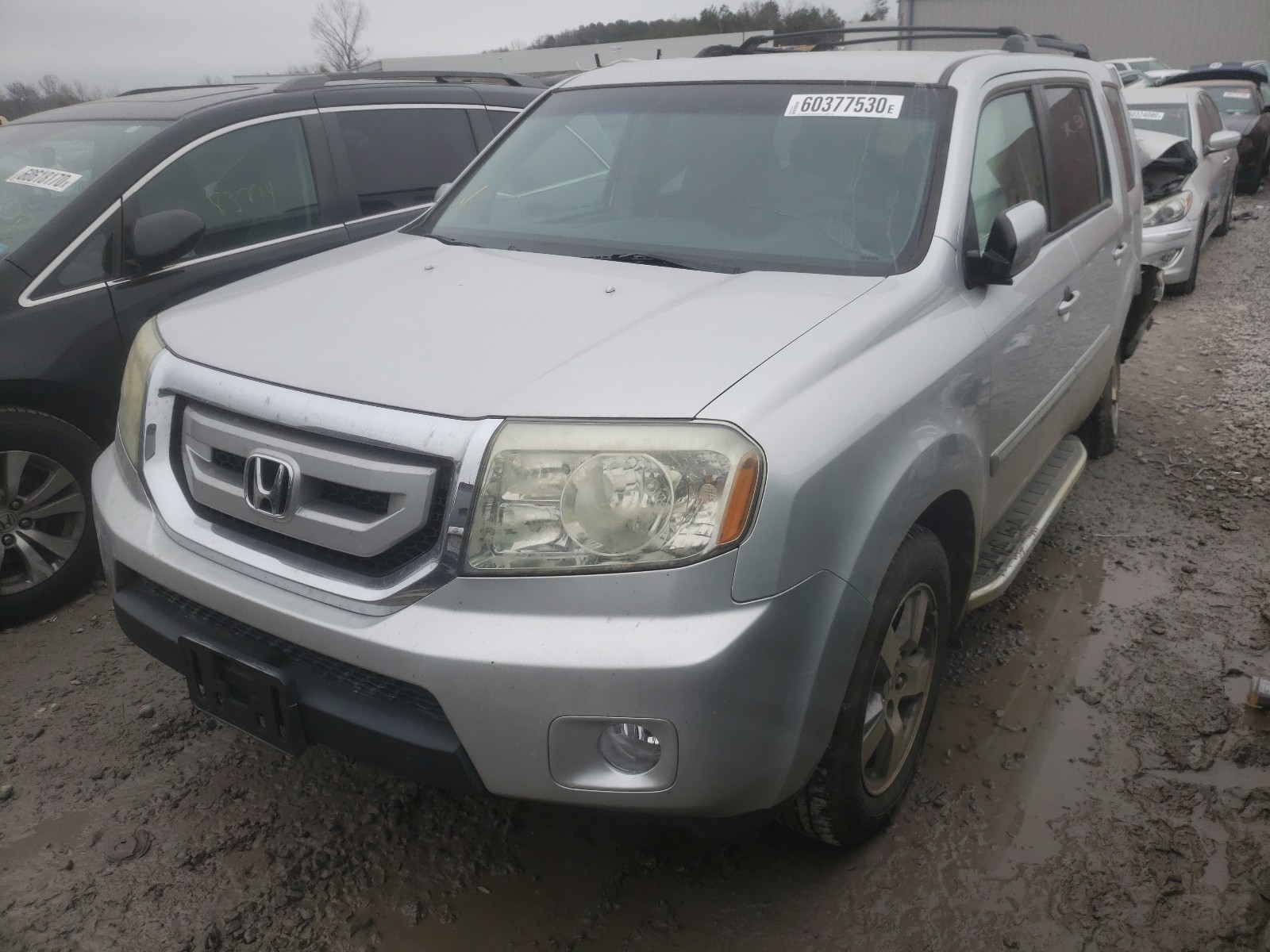 Photo 1 VIN: 5FNYF38459B015831 - HONDA PILOT EX 